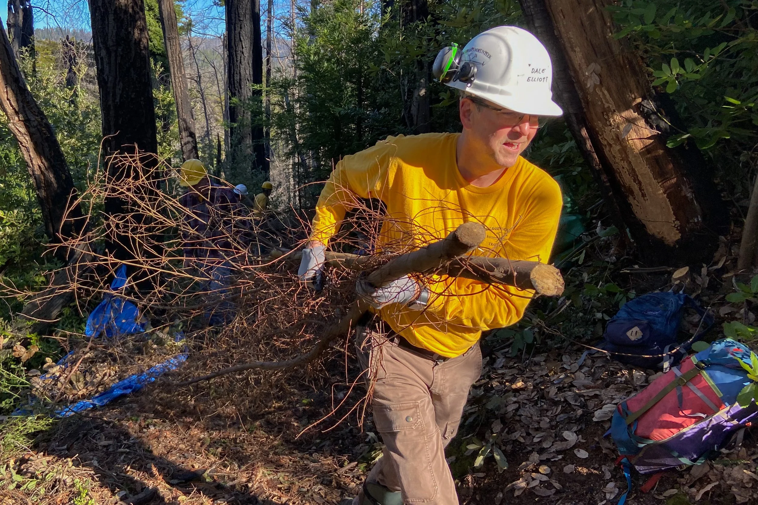 bucket brigade action.jpg