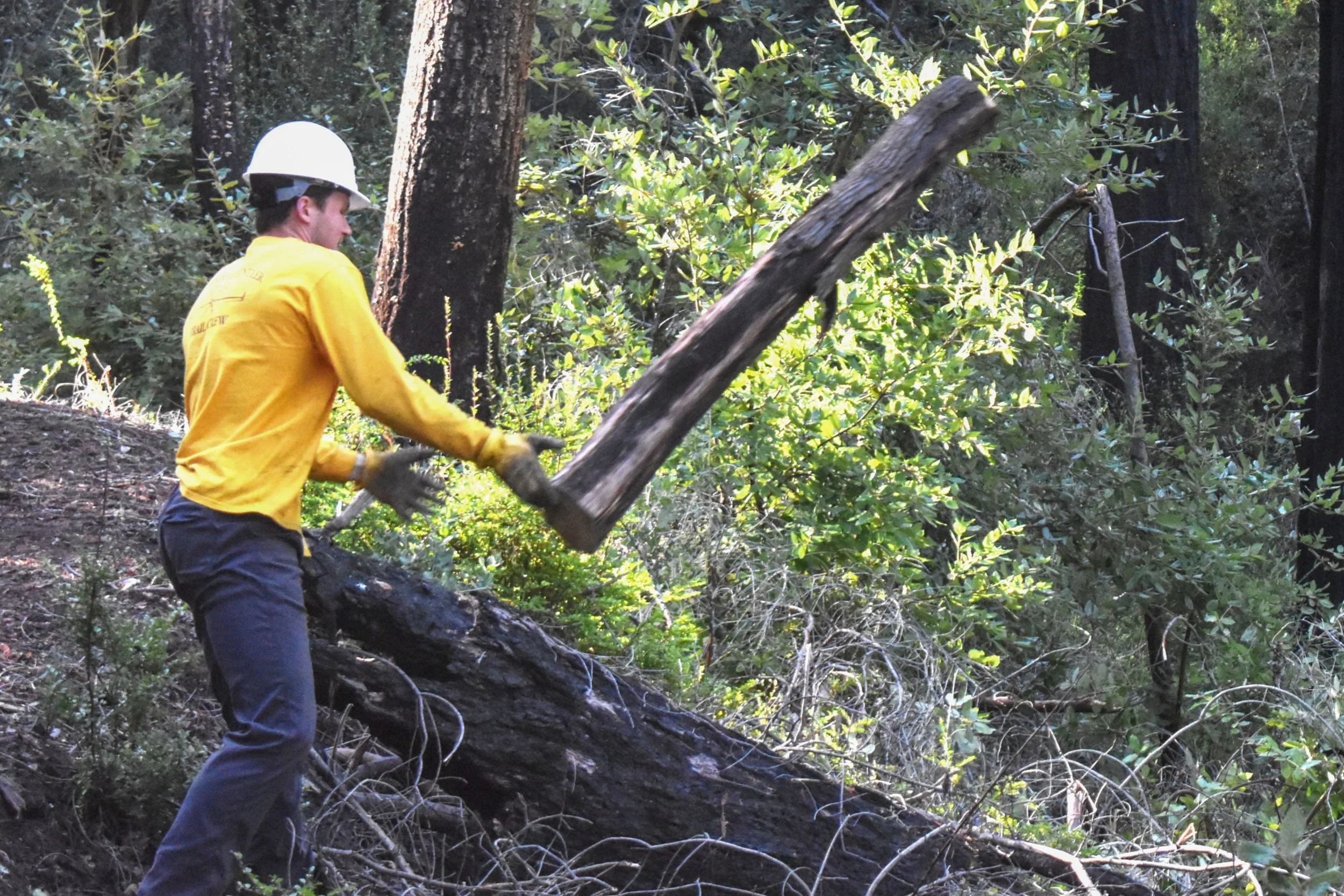 Pine Mountain - Middle Section