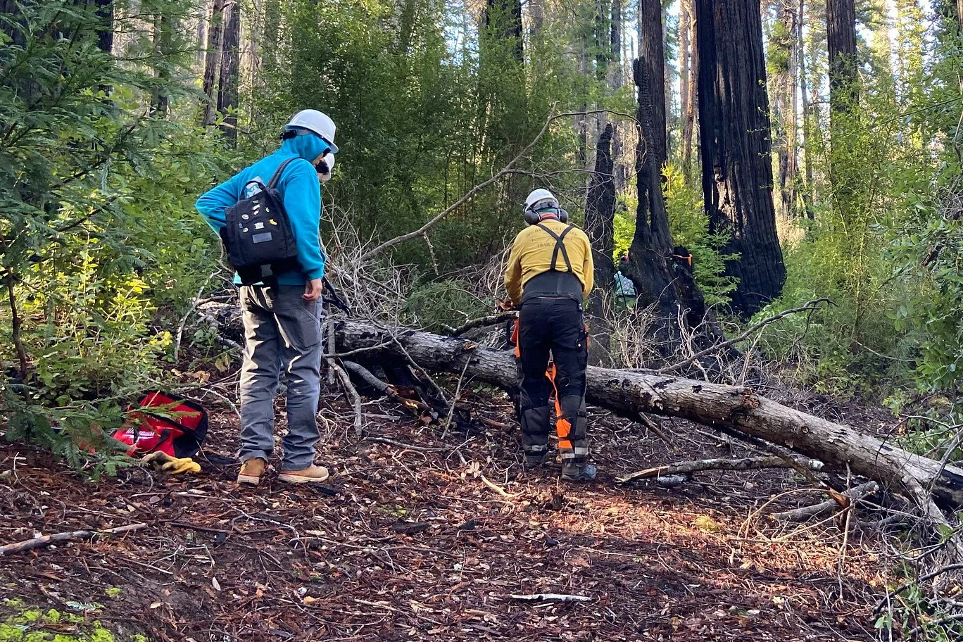 before clearing the fallen tree.jpg