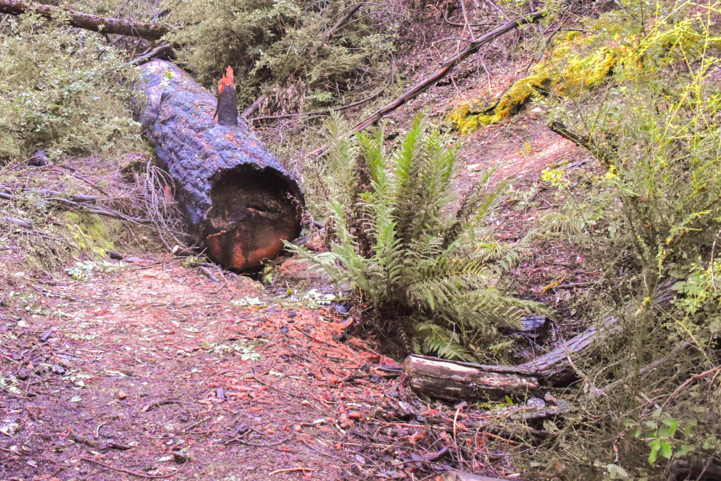 Clean-Up After - Feb. 21, 2026.jpg