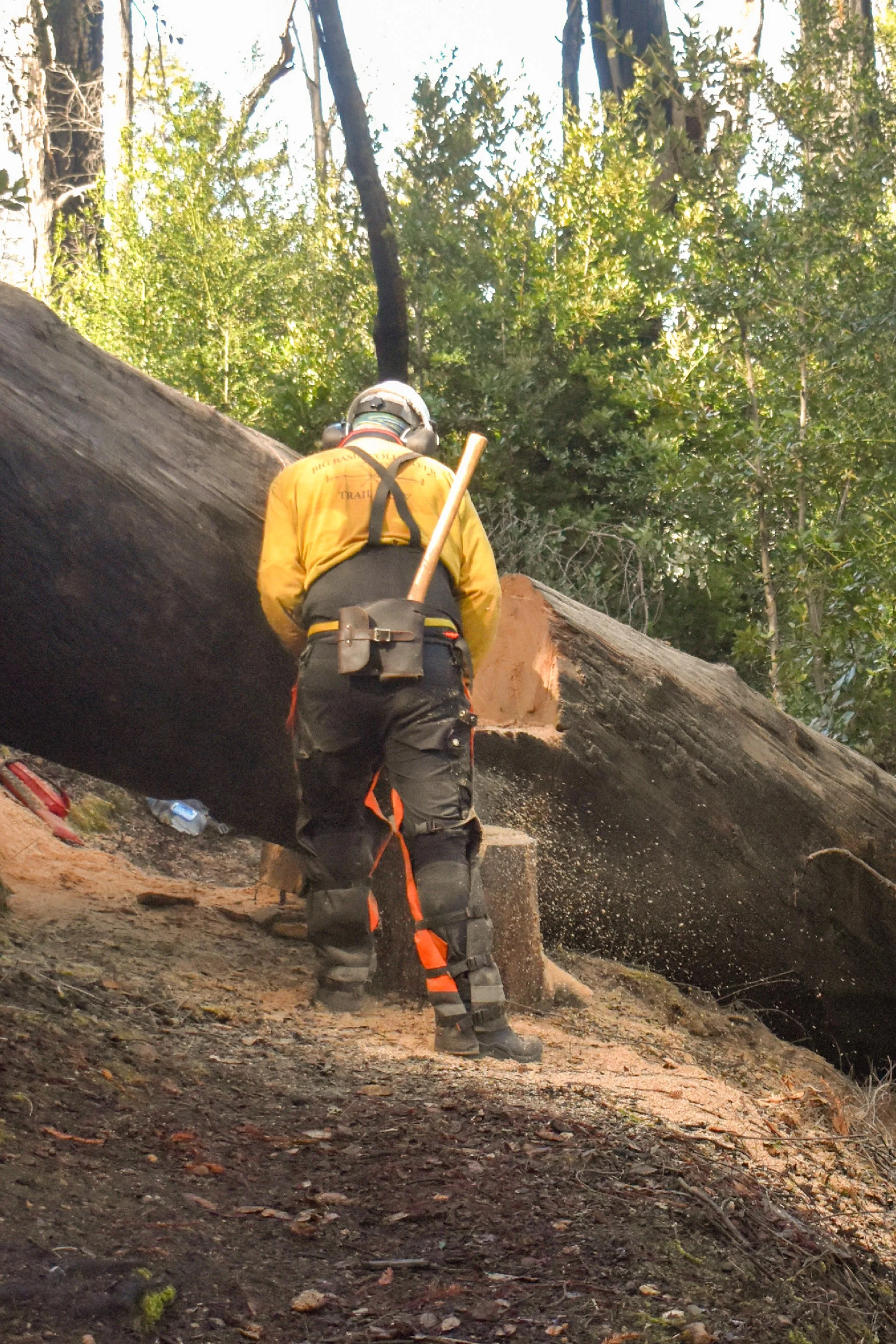 Notching a Log to  Allow Passage.jpg