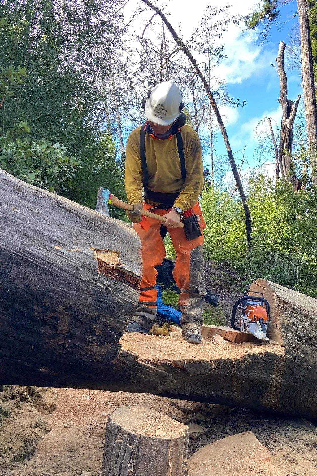 making the notched tree passage ADA compliant.jpg