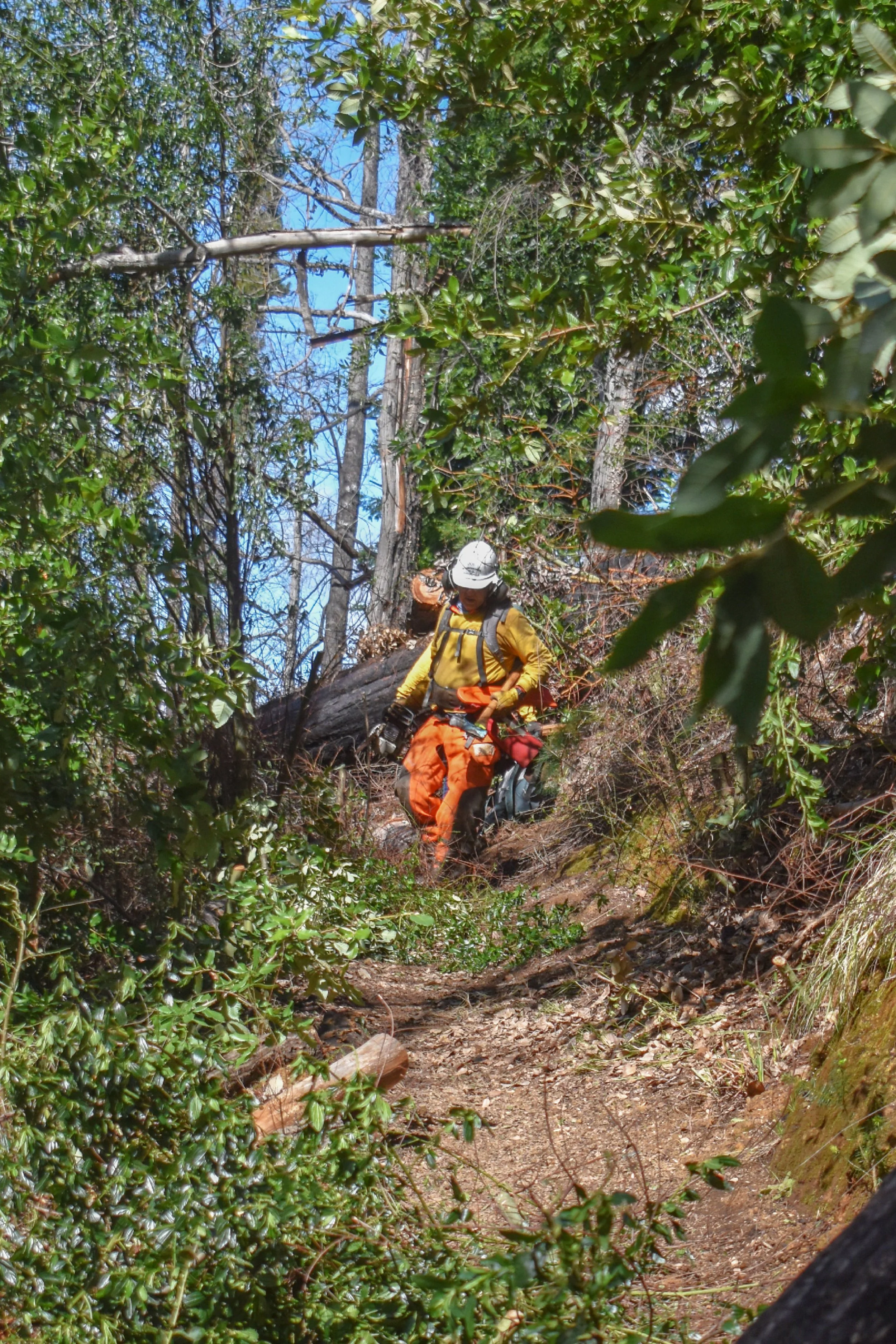 Pine Mountain - Middle Section