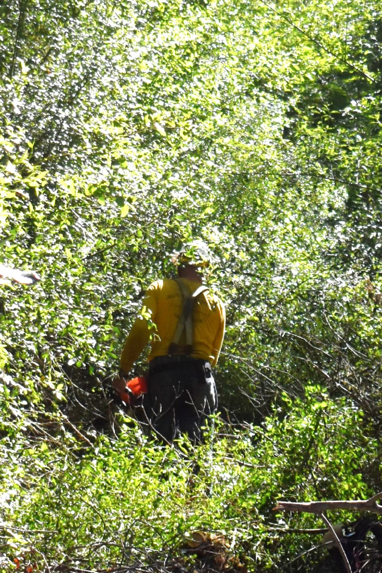 This IS Where The Trail Goes.jpg