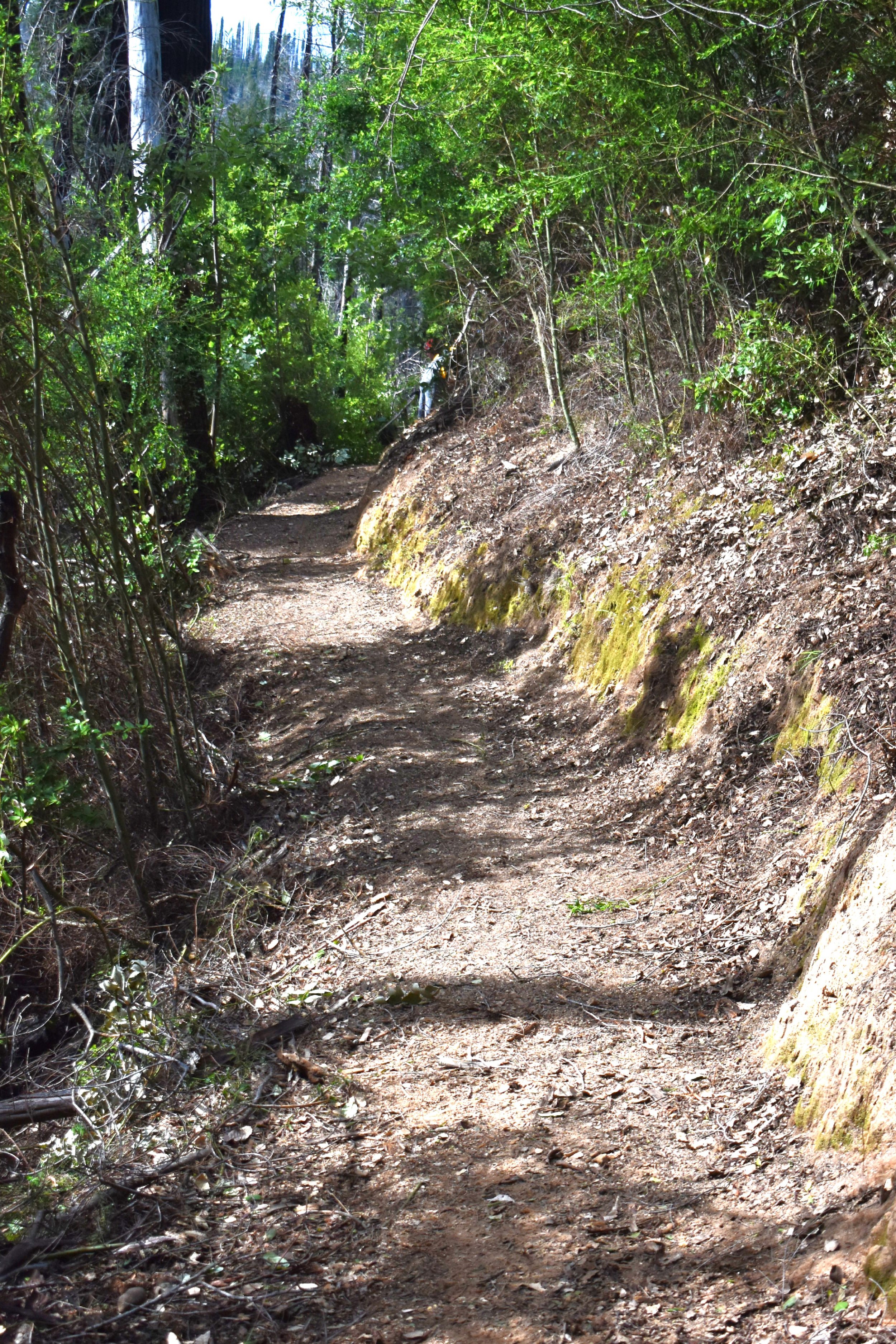 Finished Section of Trail Just Above Rd.jpg
