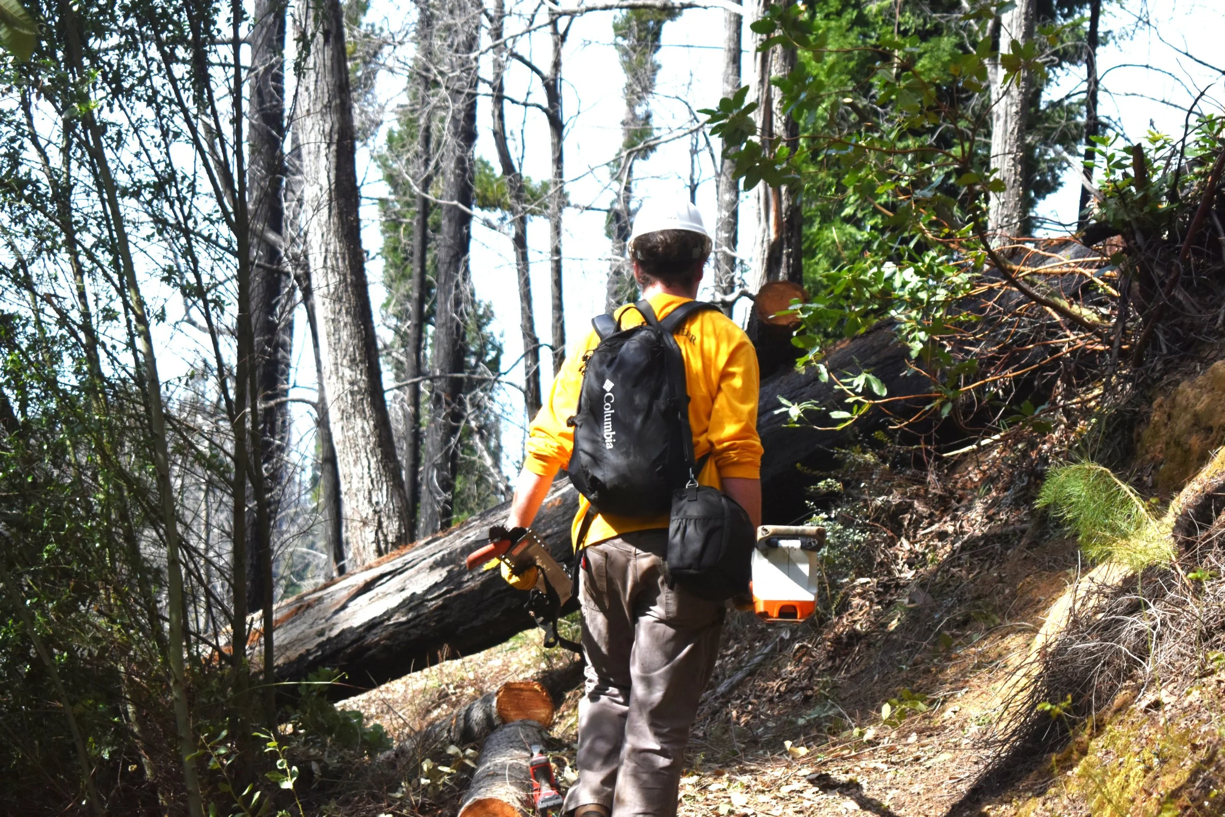 Pine Mountain - Upper Section