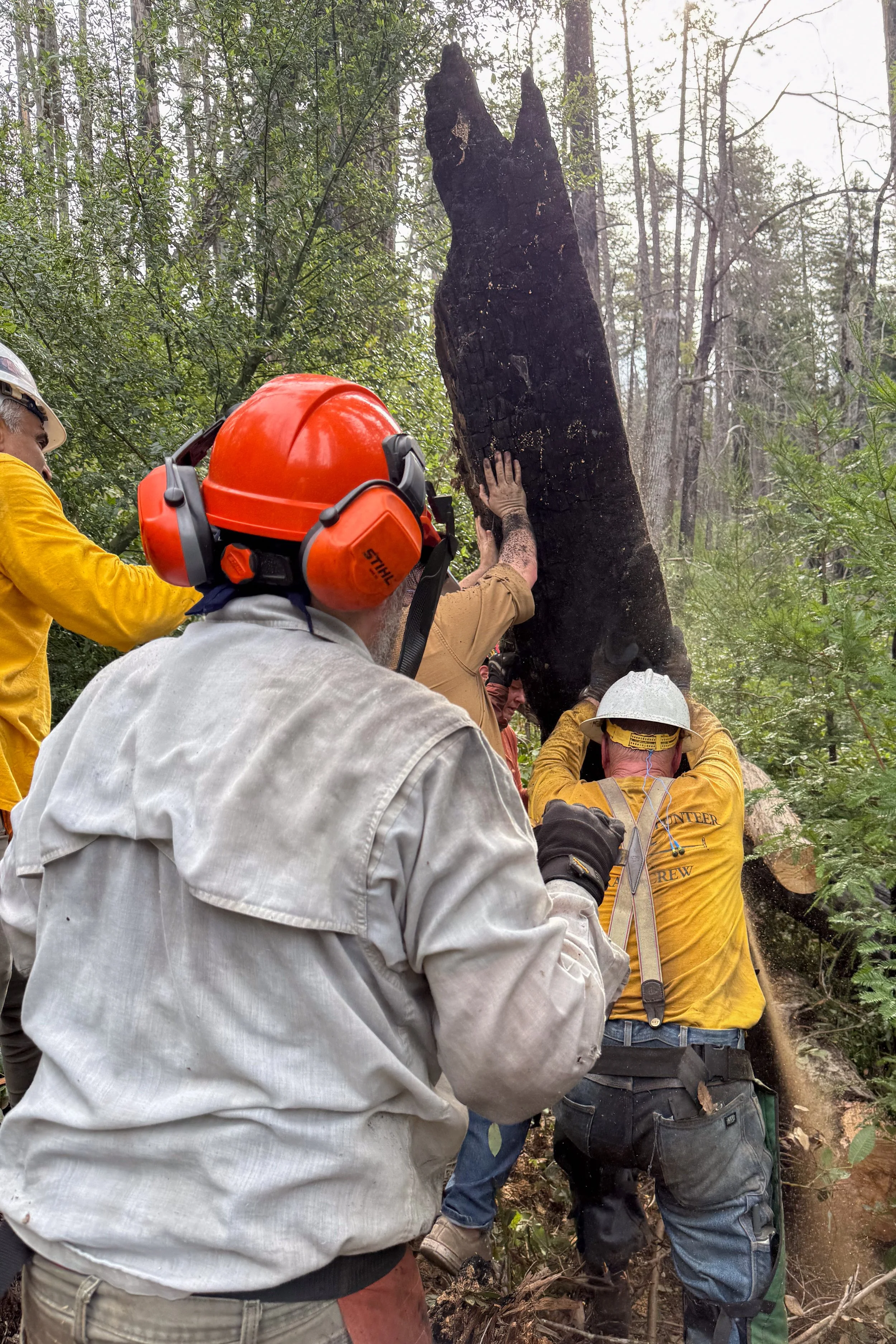 keyhole clearing.jpg