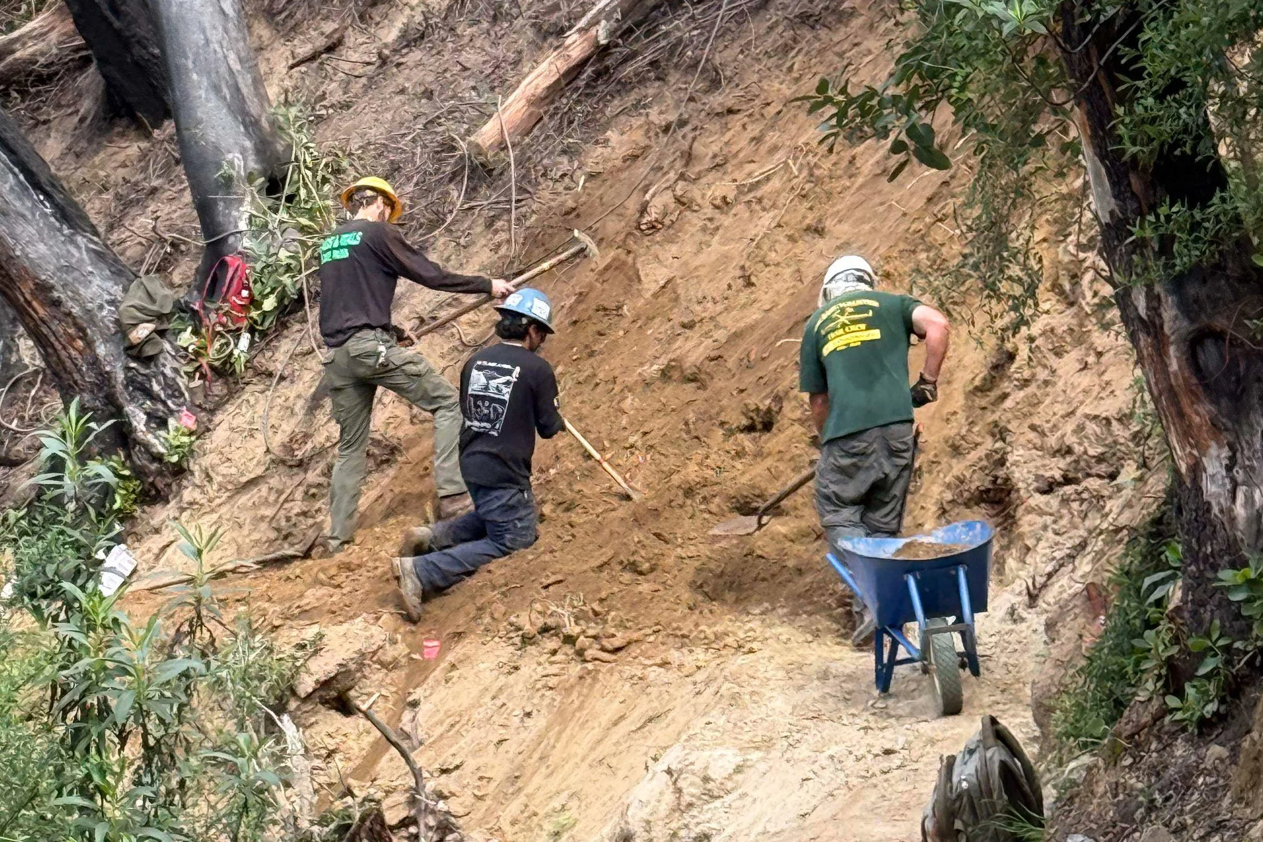 Pine Mountain - Upper Section and Sequoia Trail