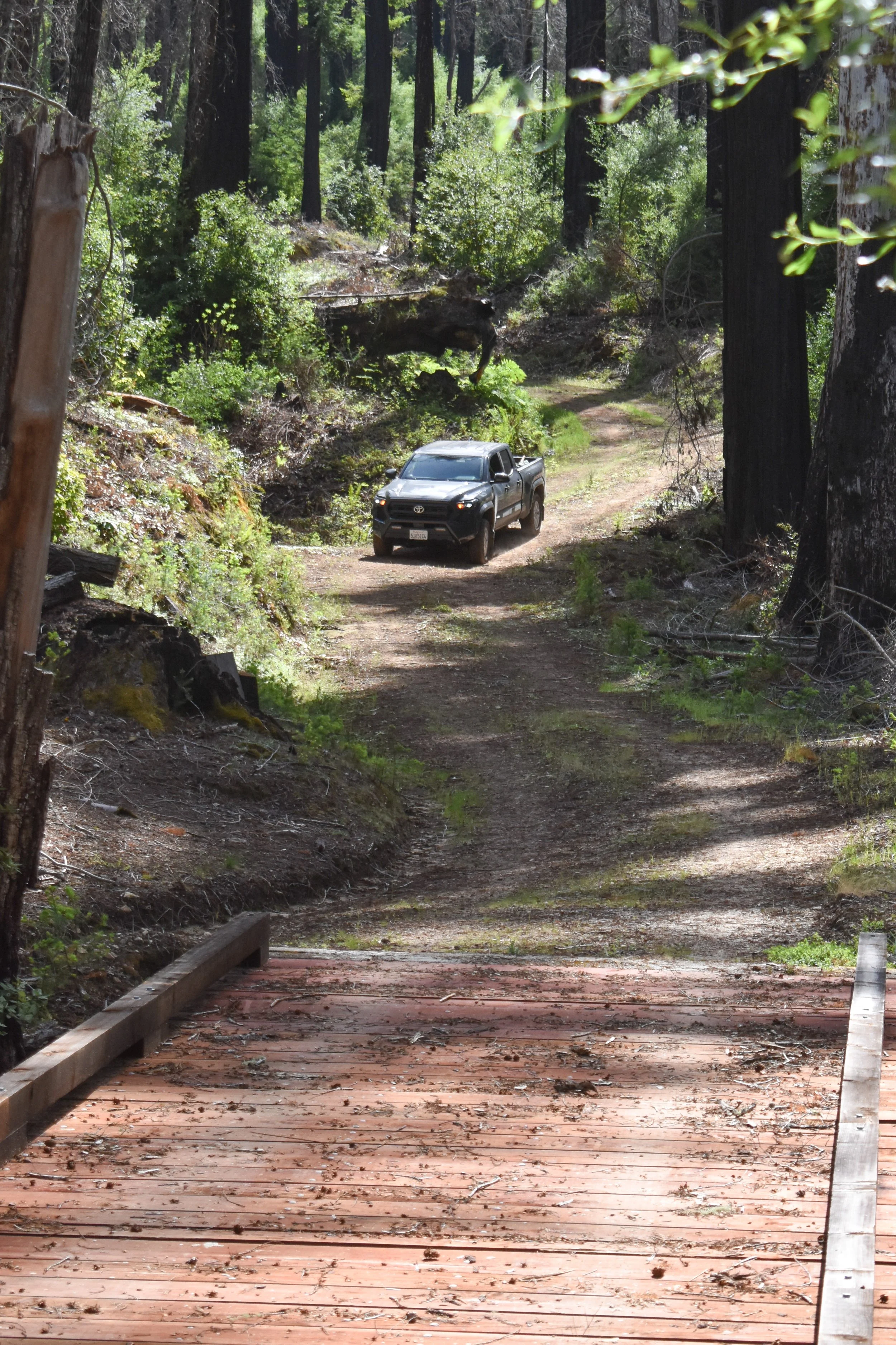 Driving  Out Pine Mtn Fire Rd.jpg