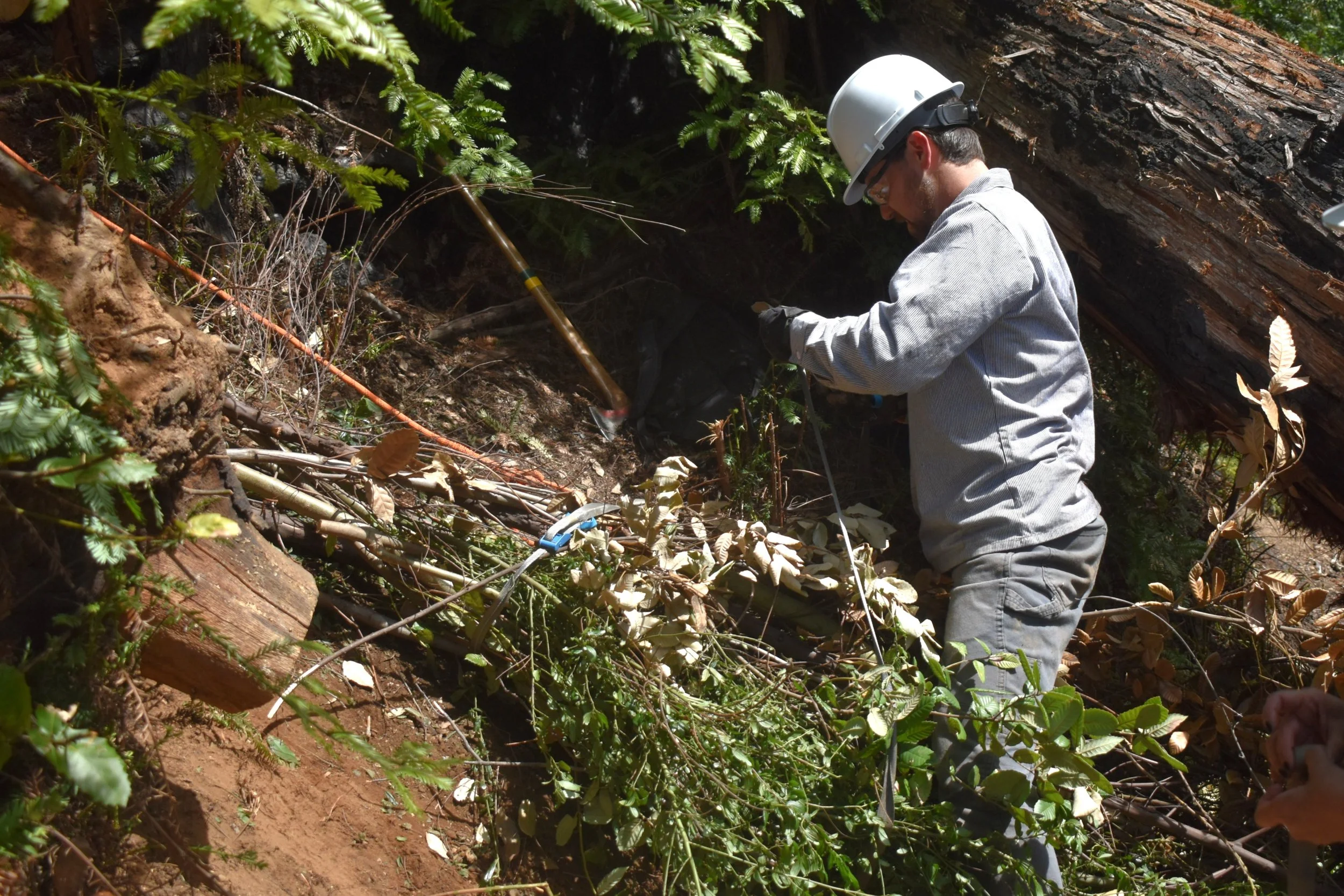 Packaging Debris For Uphill Pull.jpg