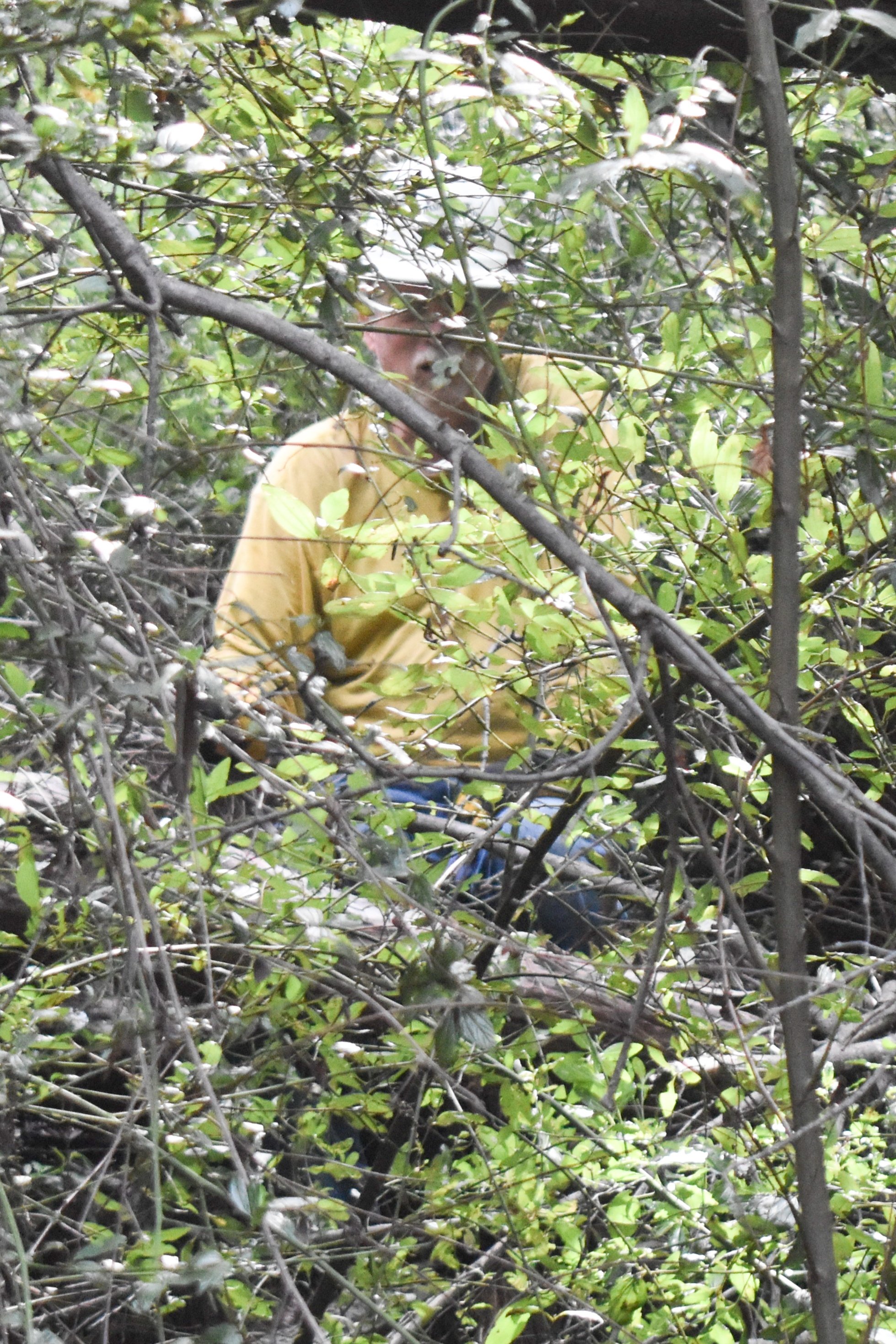 Rory Standing on Uncleared Trail.jpg
