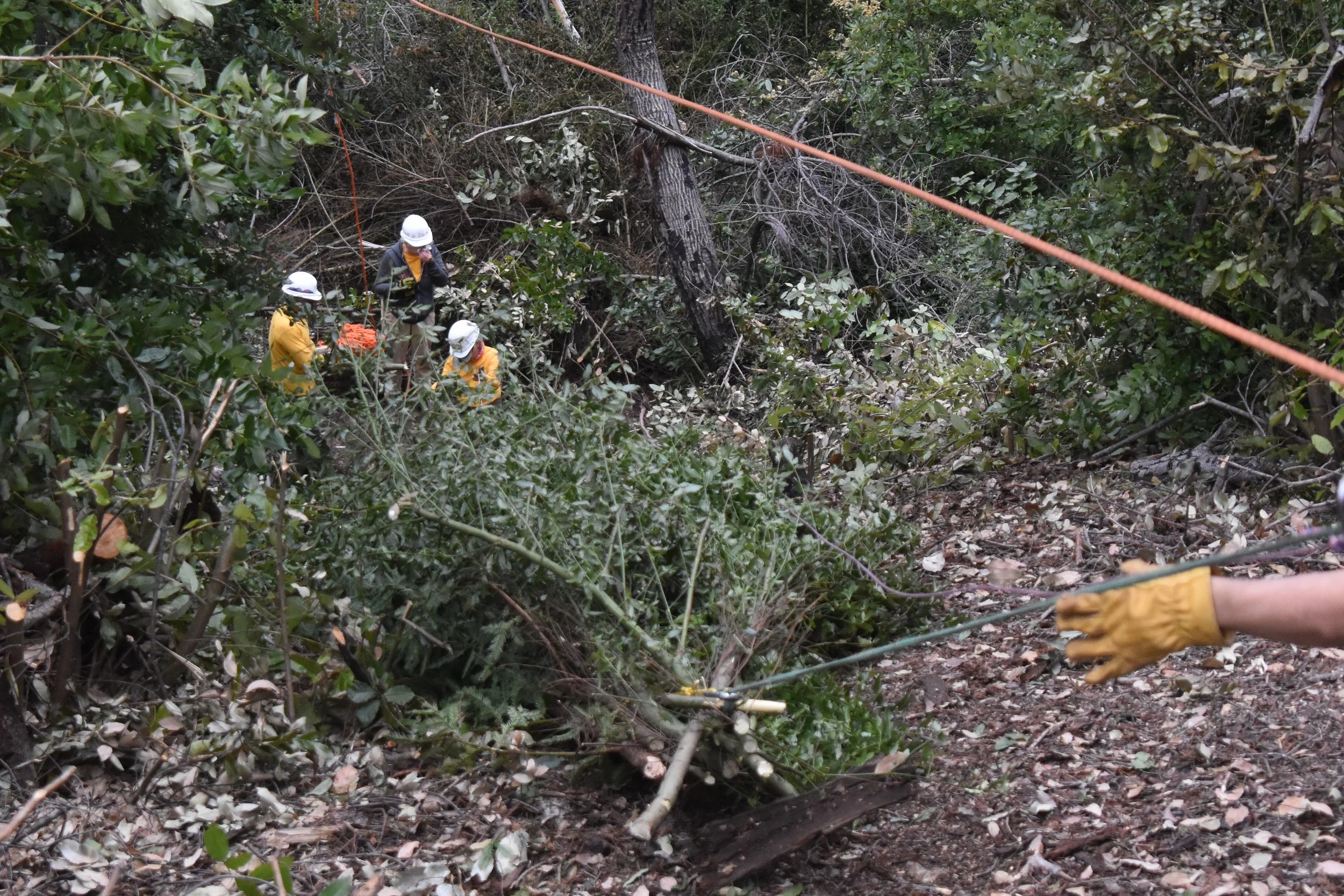 Pine Mountain - Upper Section
