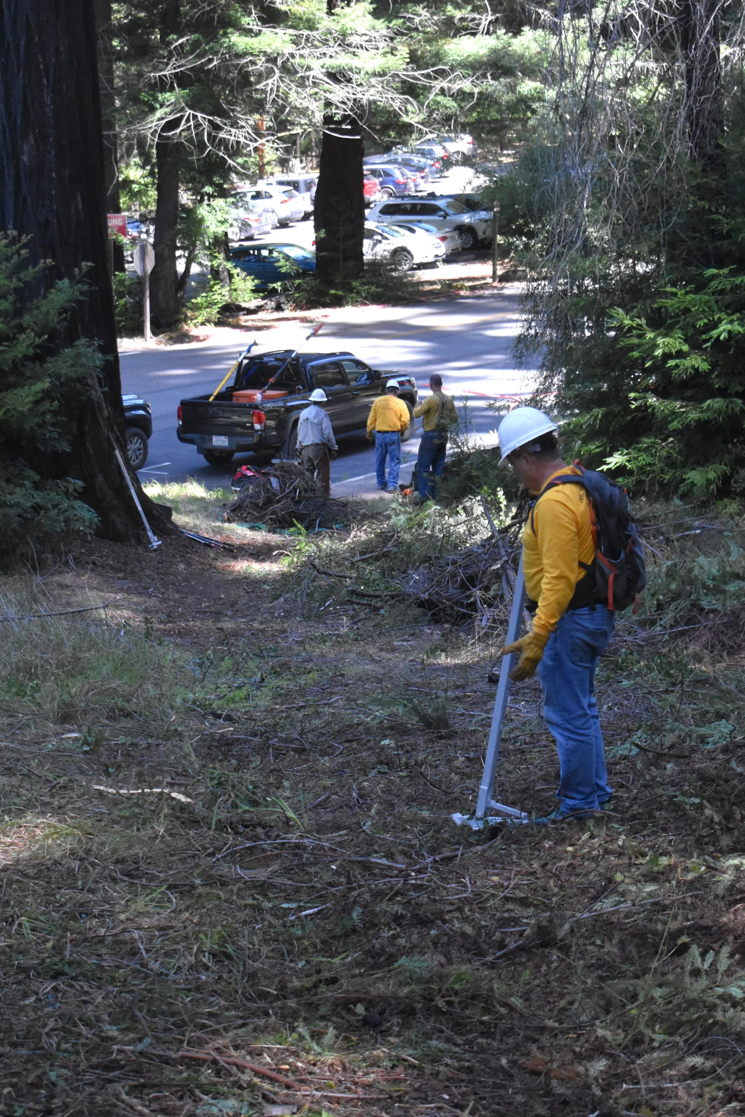 Cleared Trailhead Entrance.jpg