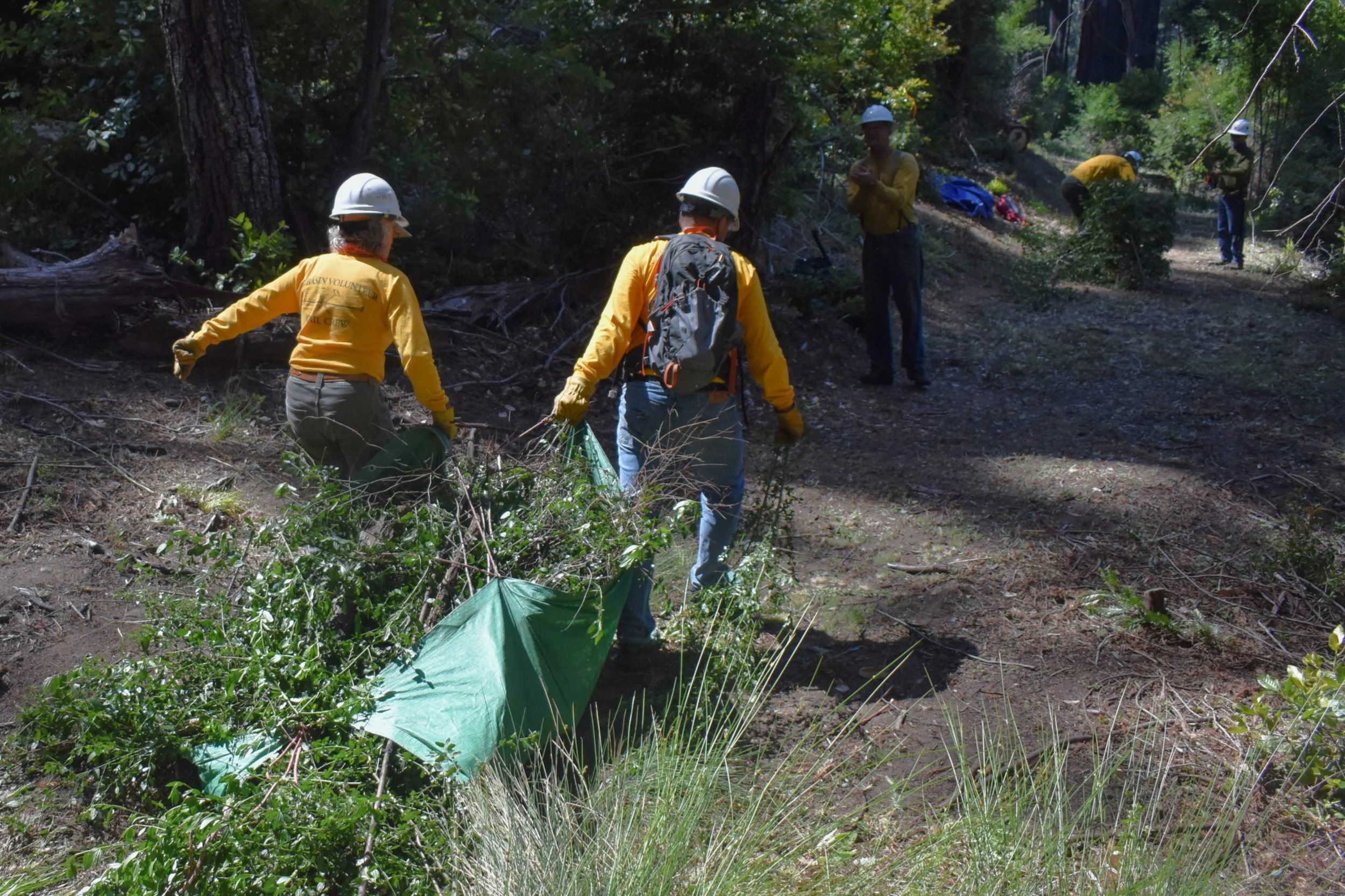 Dragging Debris to Disposal Site.jpg