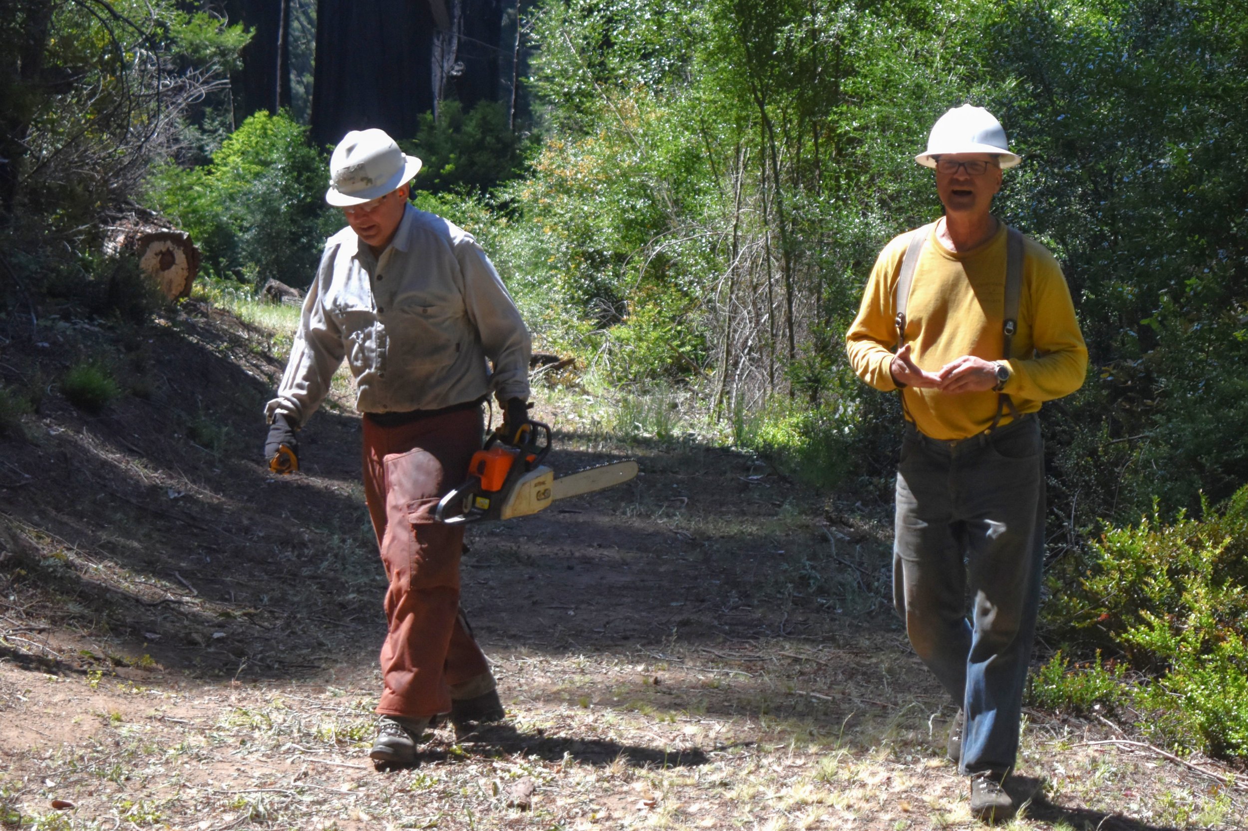 Cleared Trailhead Area.jpg