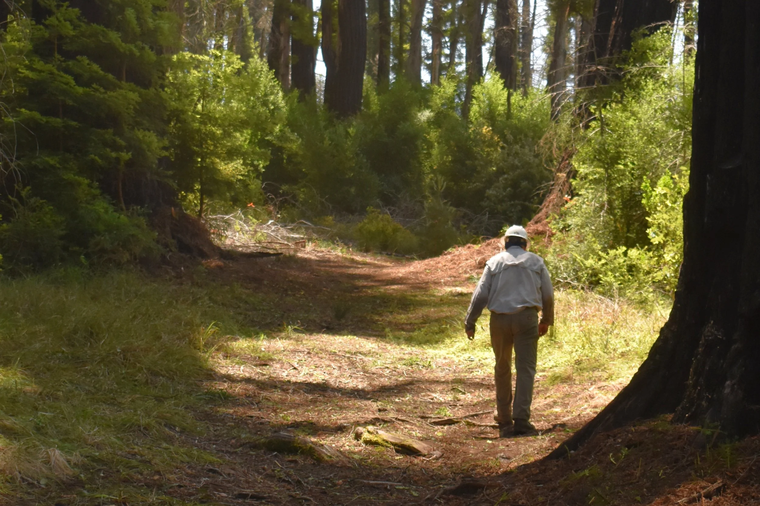 Trailhead Cleared - Final Inspection.jpg