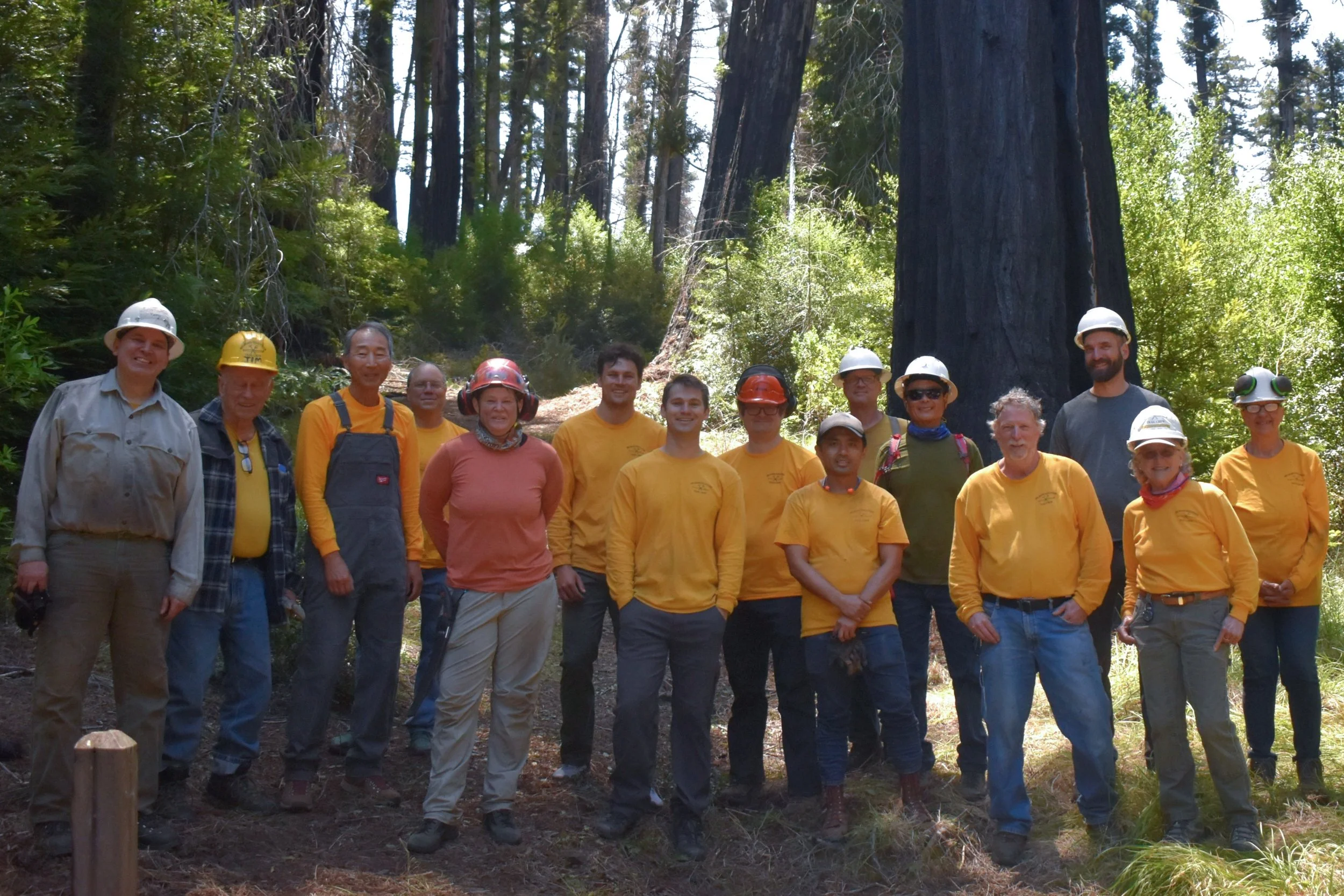 Sequioa Trial Clean up Before Trail is Opened