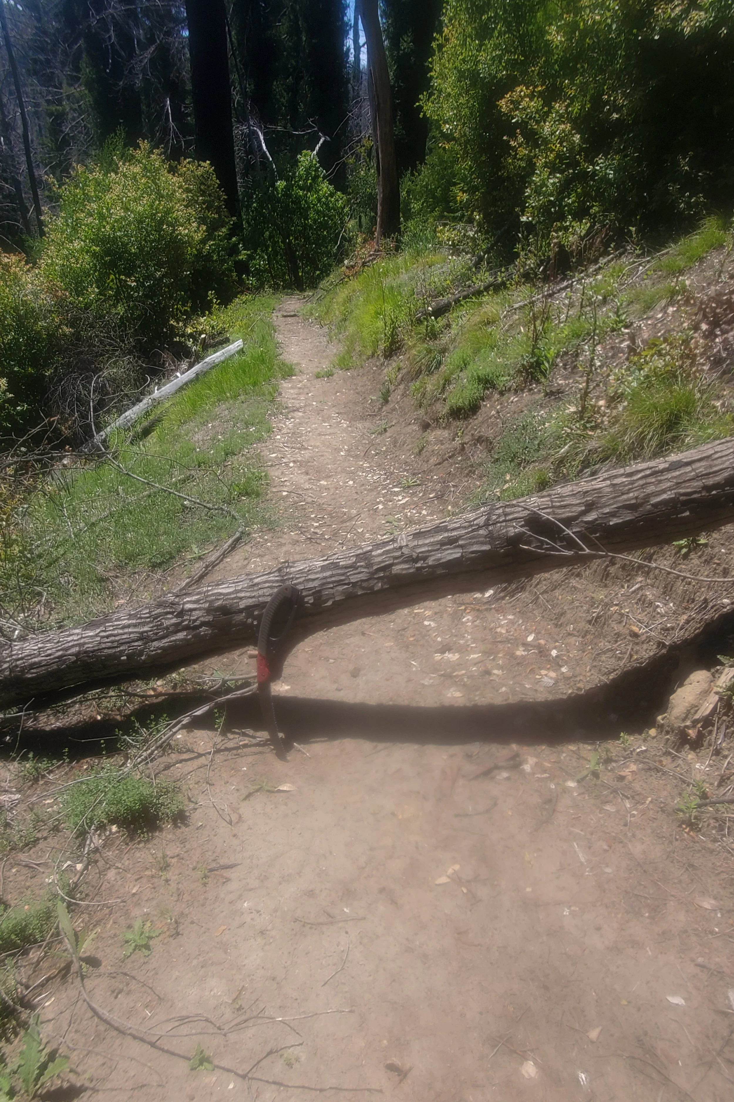 20260516_141551.jpg