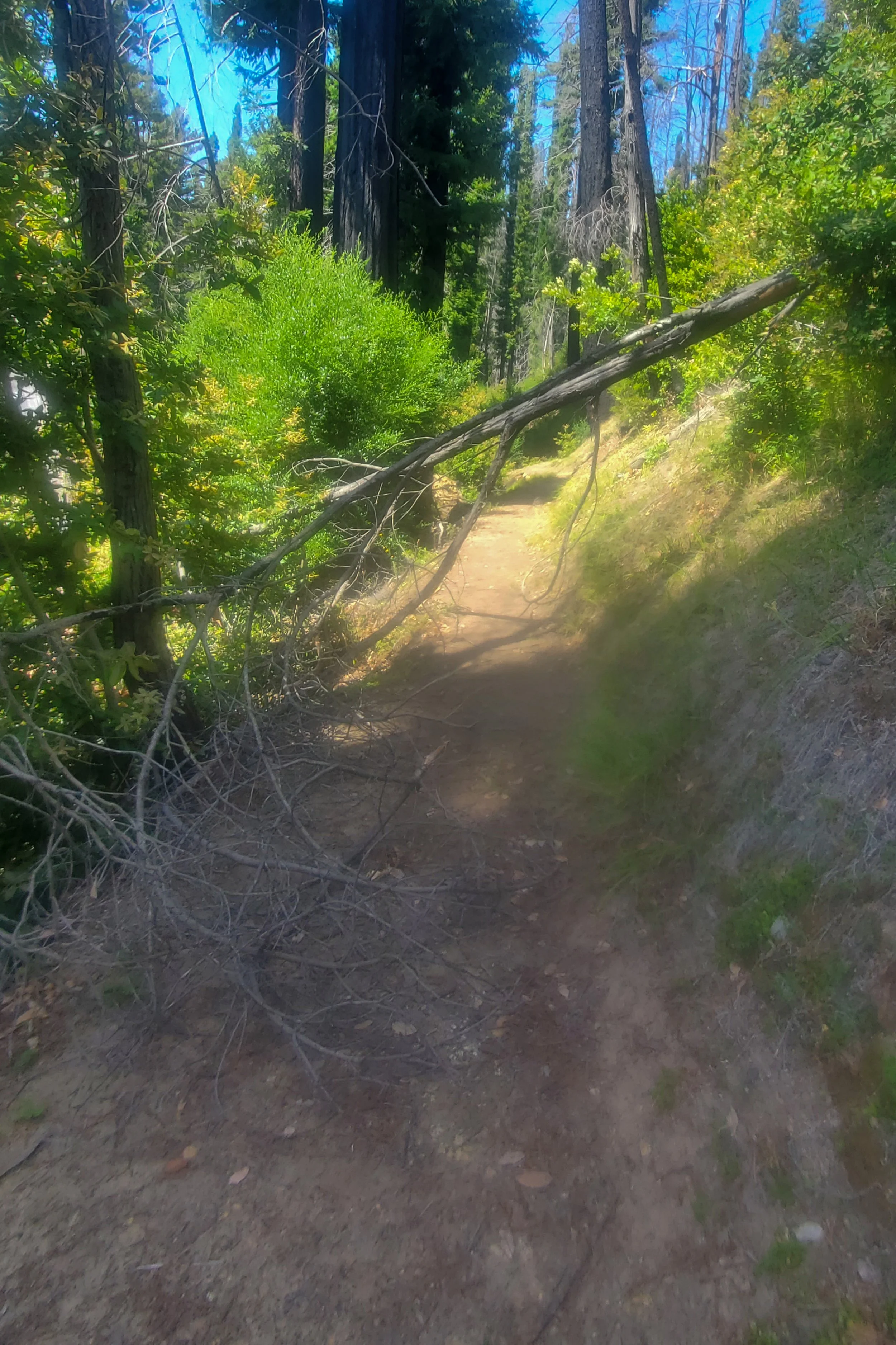 20260516_143822.jpg