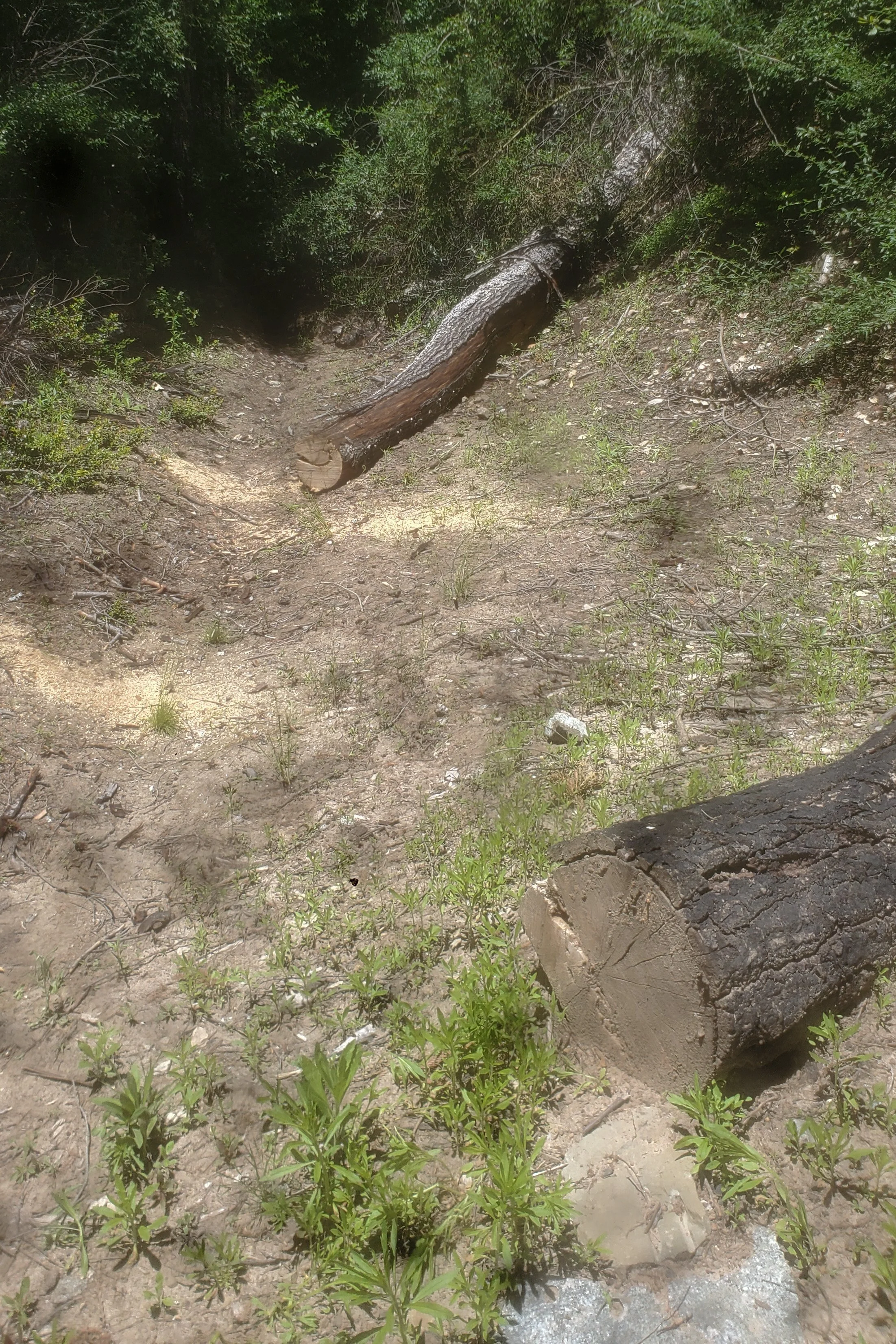 20260516_131504.jpg