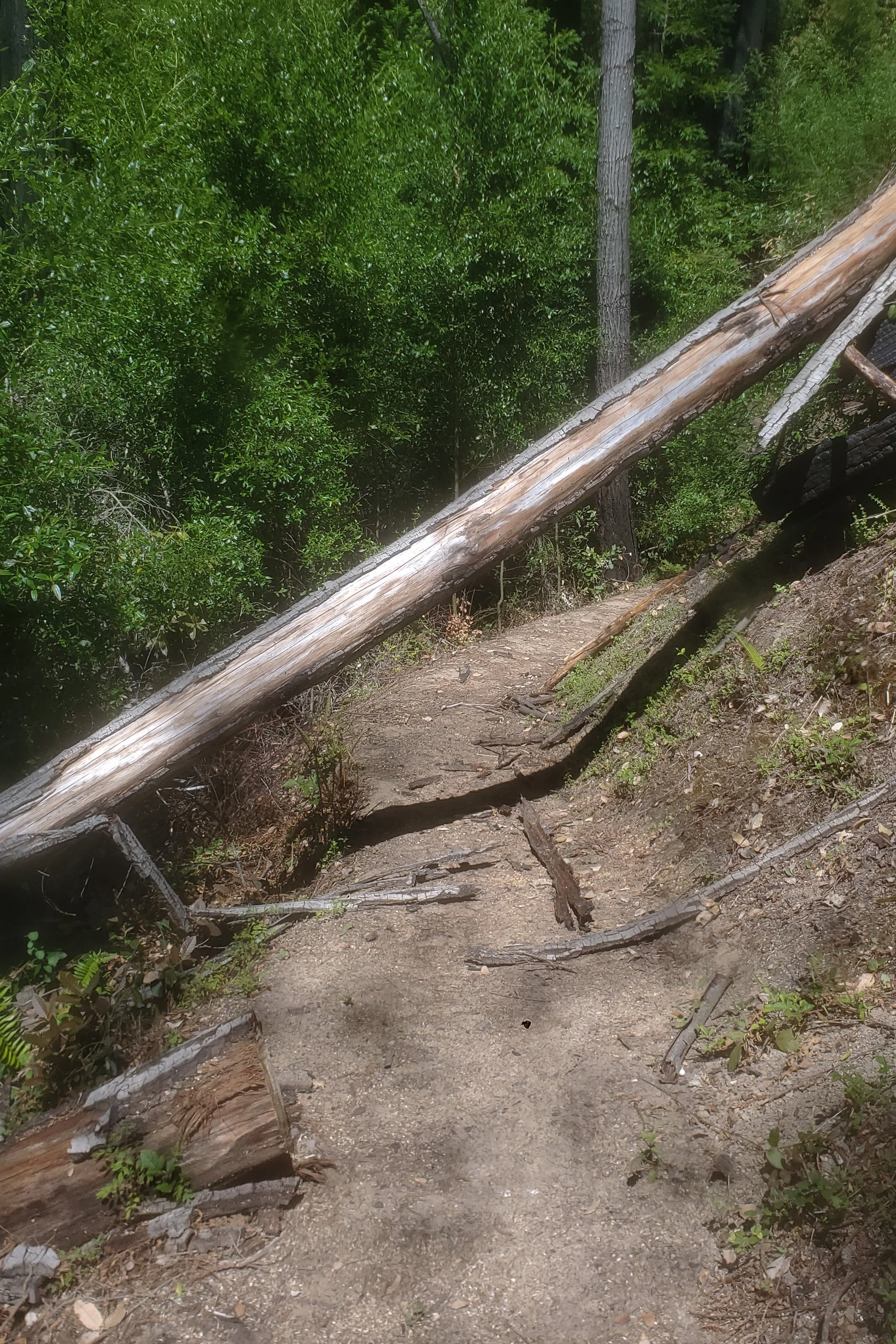 20260516_144209.jpg