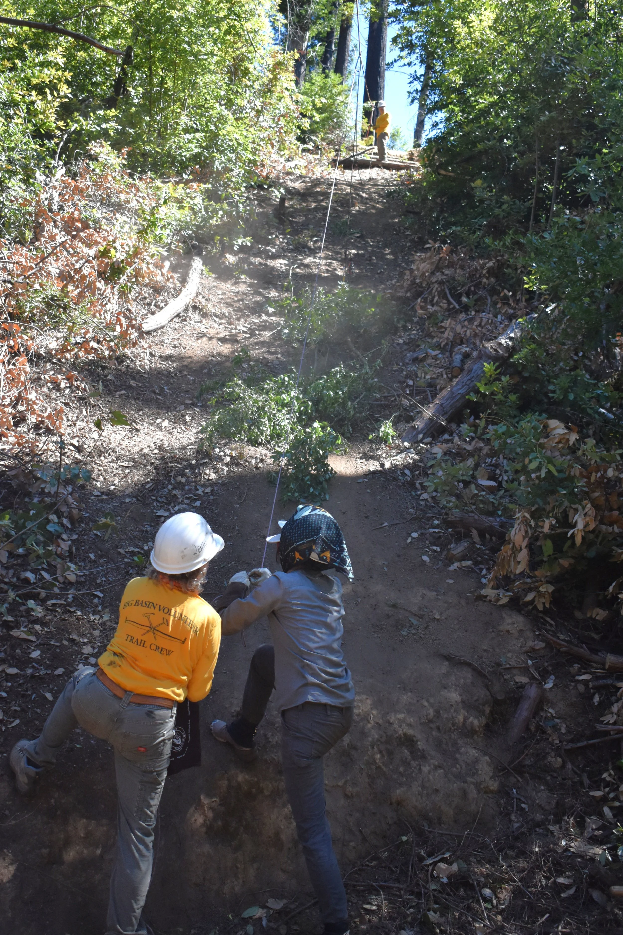 Highline Work From Bottom.jpg