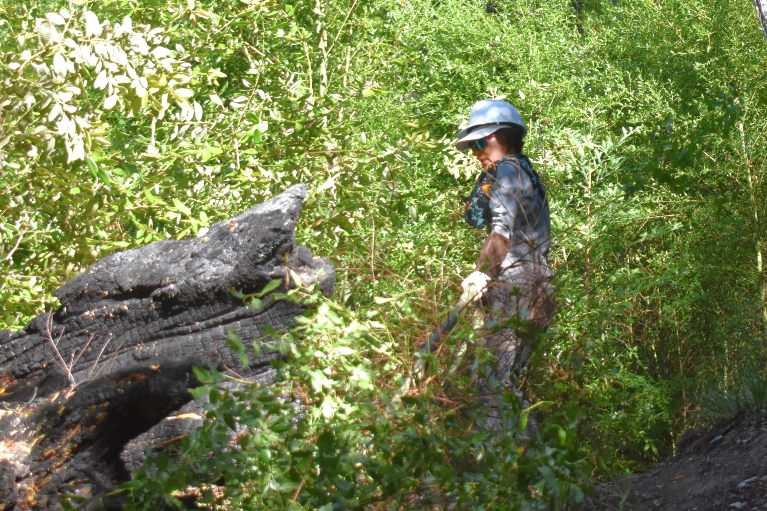 DSC_0042.jpg