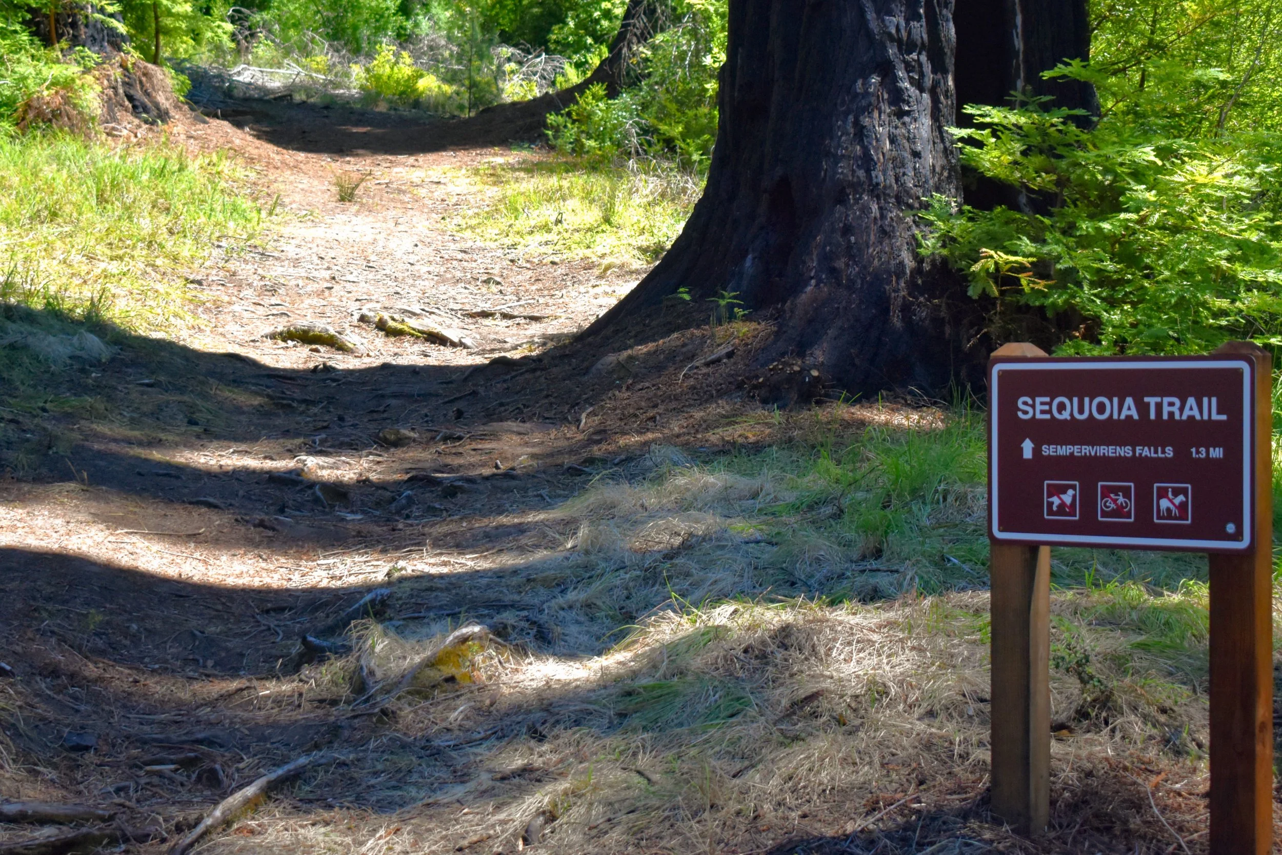 Pine Mountain - Upper Section
