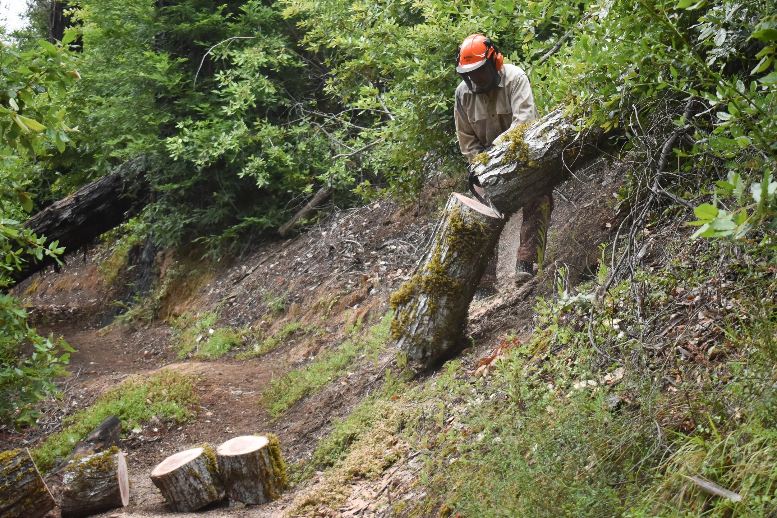 DSC_0075.jpg