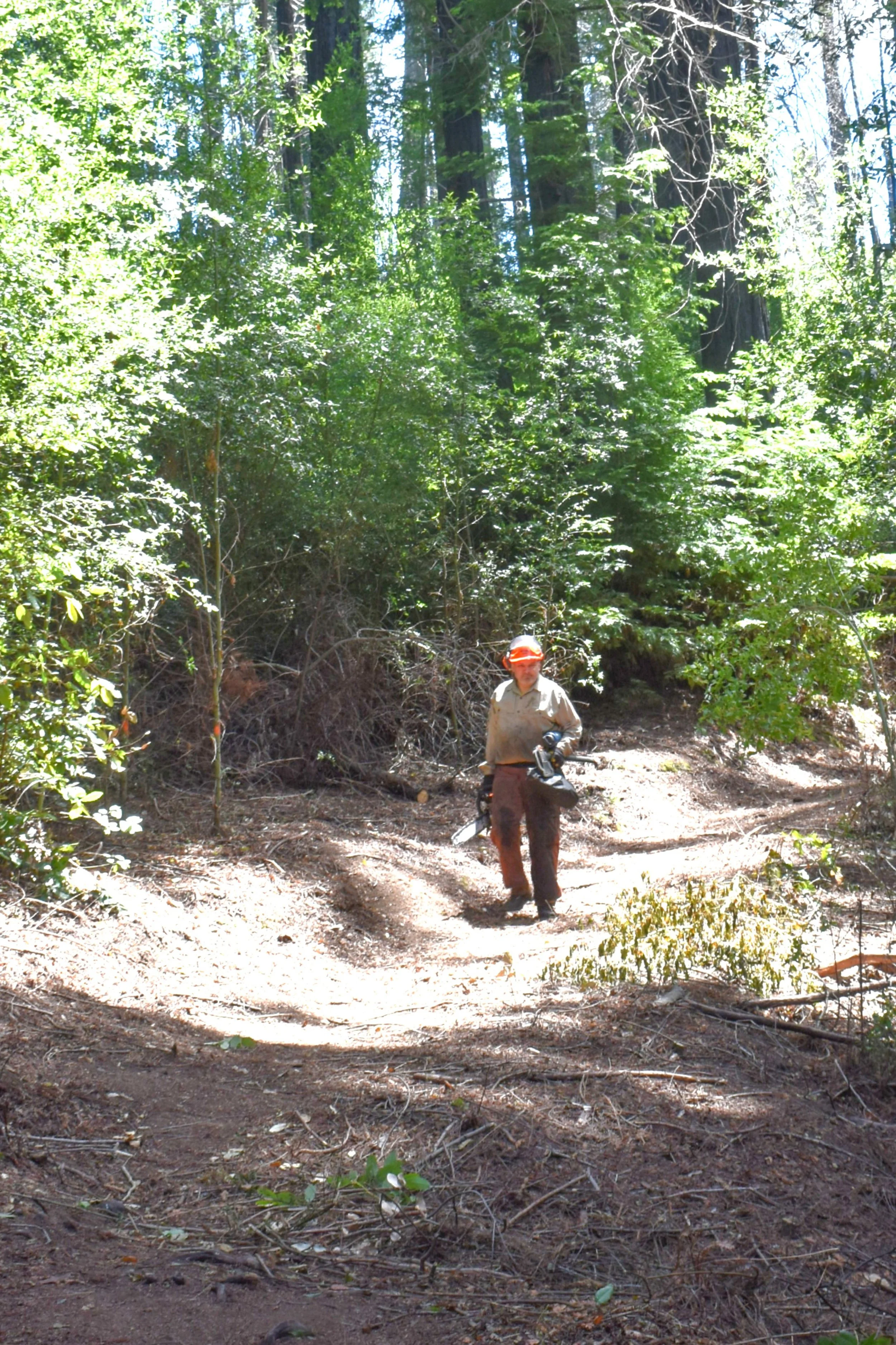 Improved Trail Section.jpg