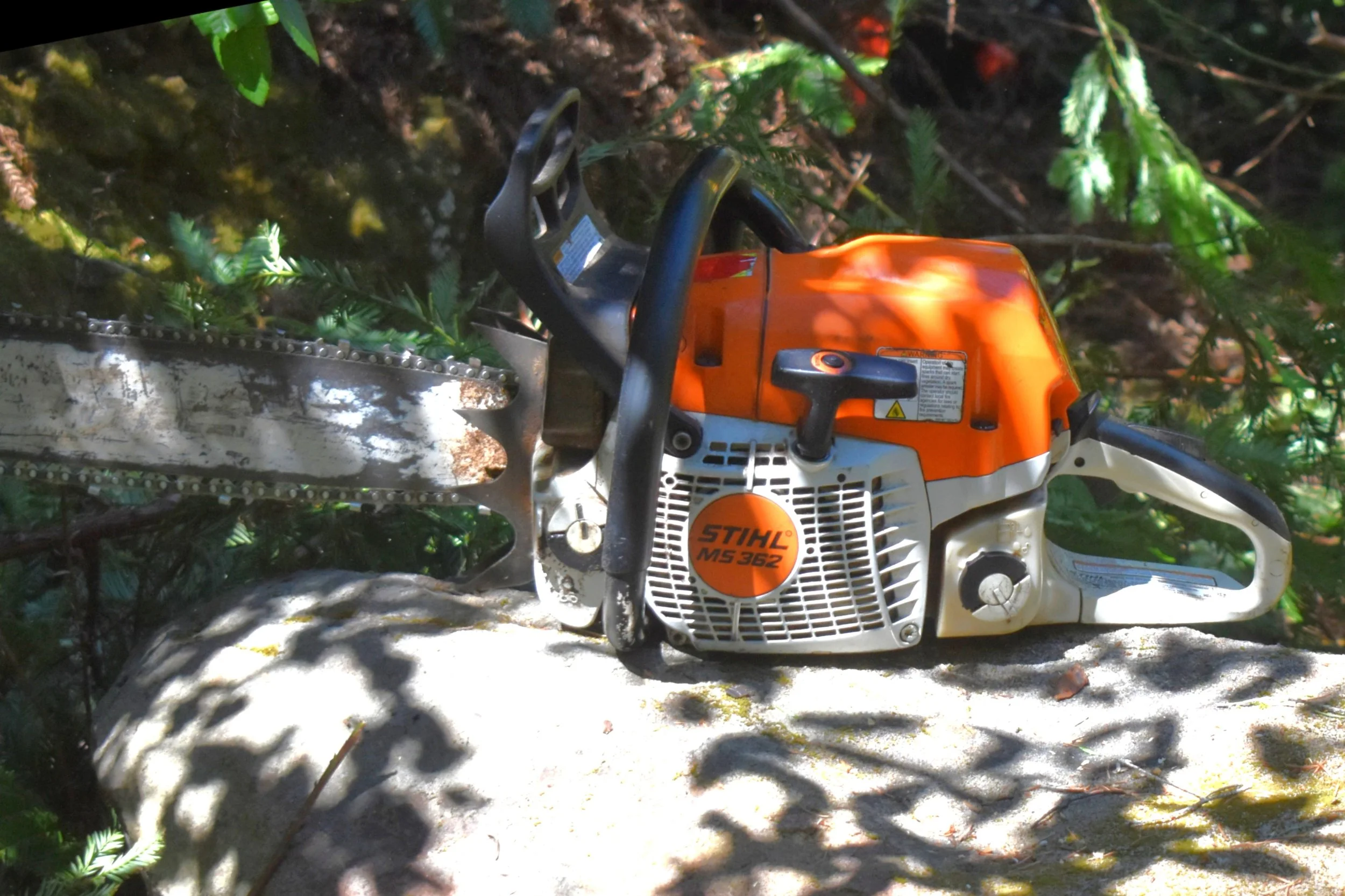 Chainsaw Resting On Boulder That Fell on Trail.jpg
