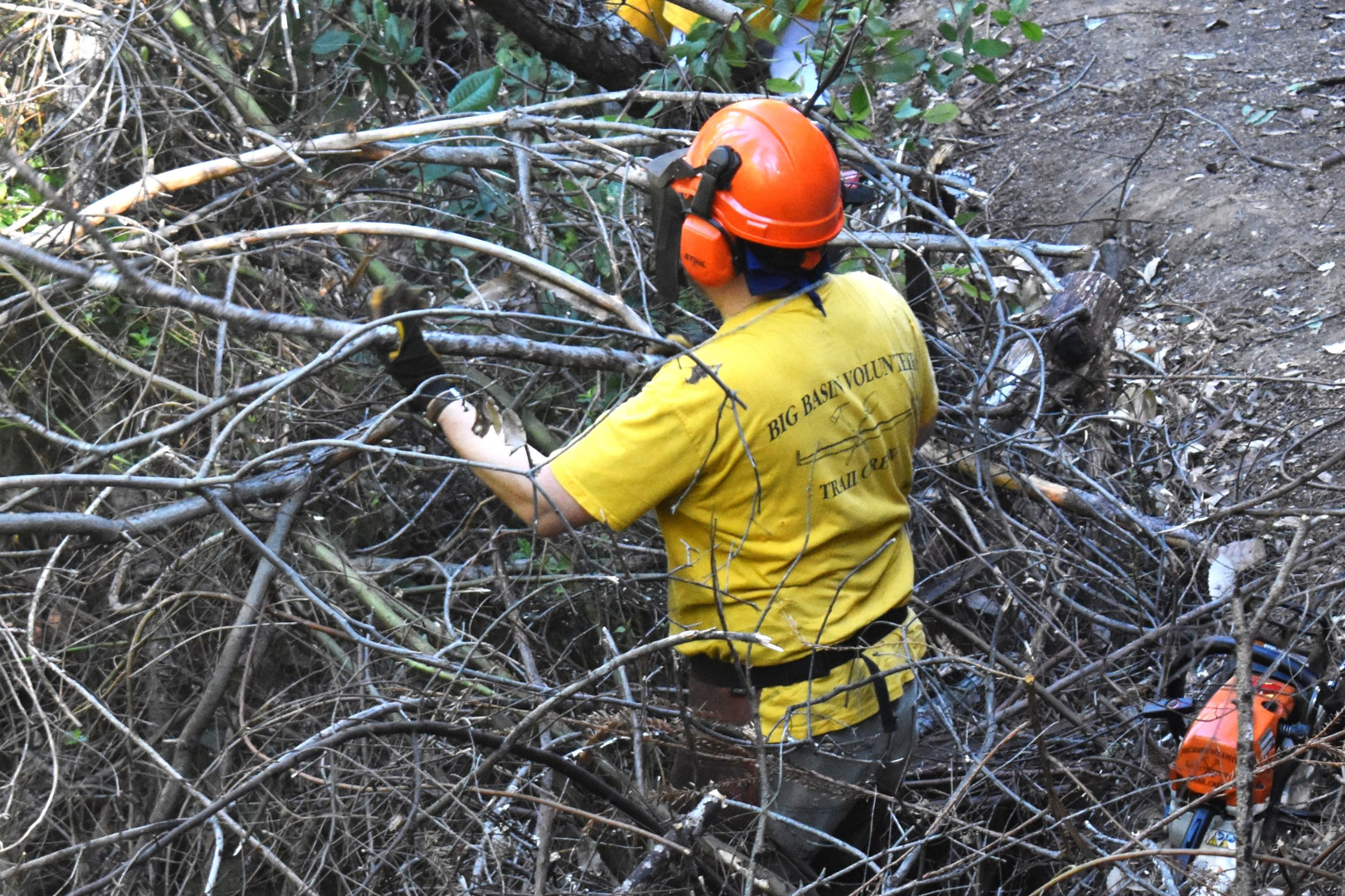 Clearing Trail Side _Gutter_.jpg