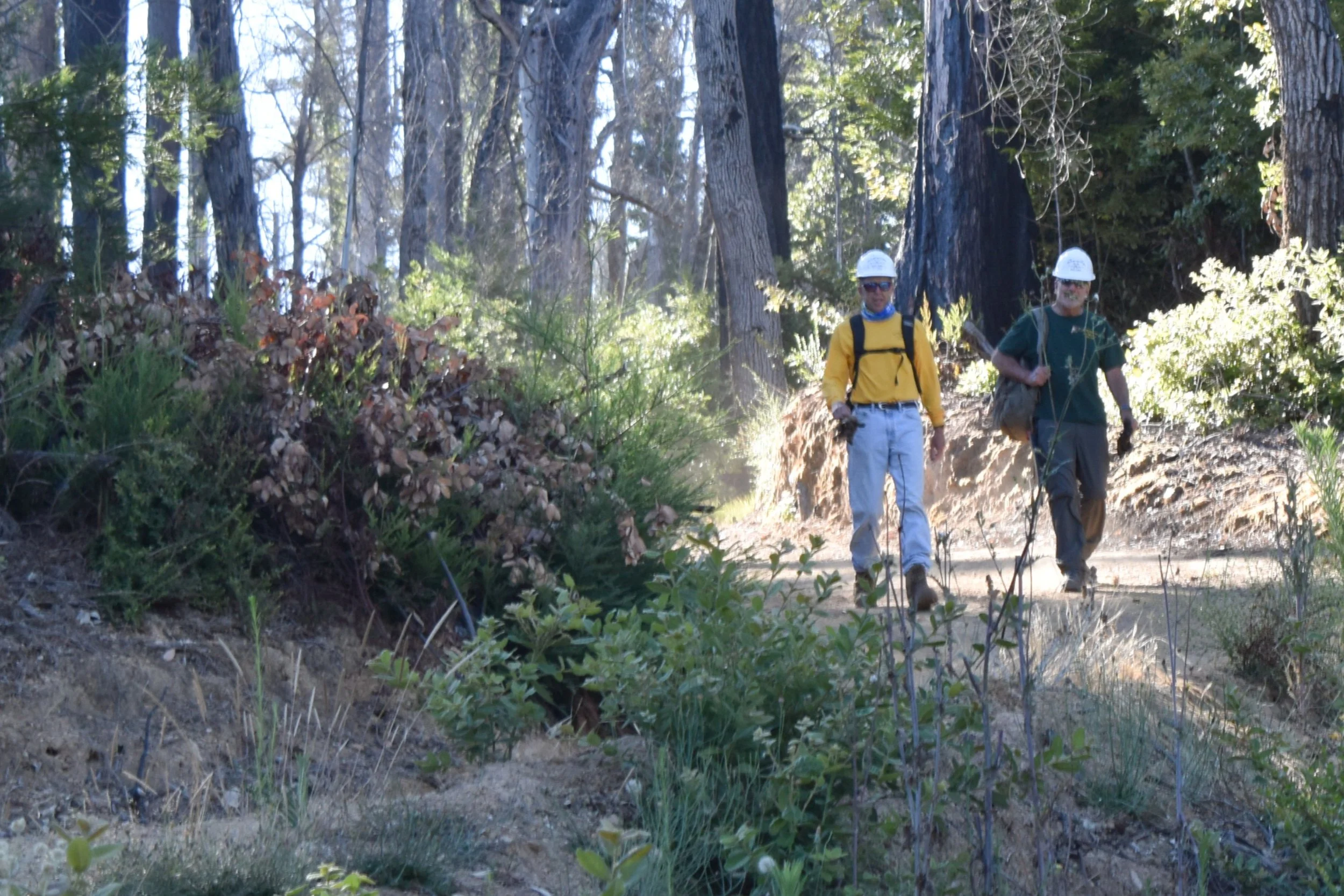 Pine Mountain - Upper Section