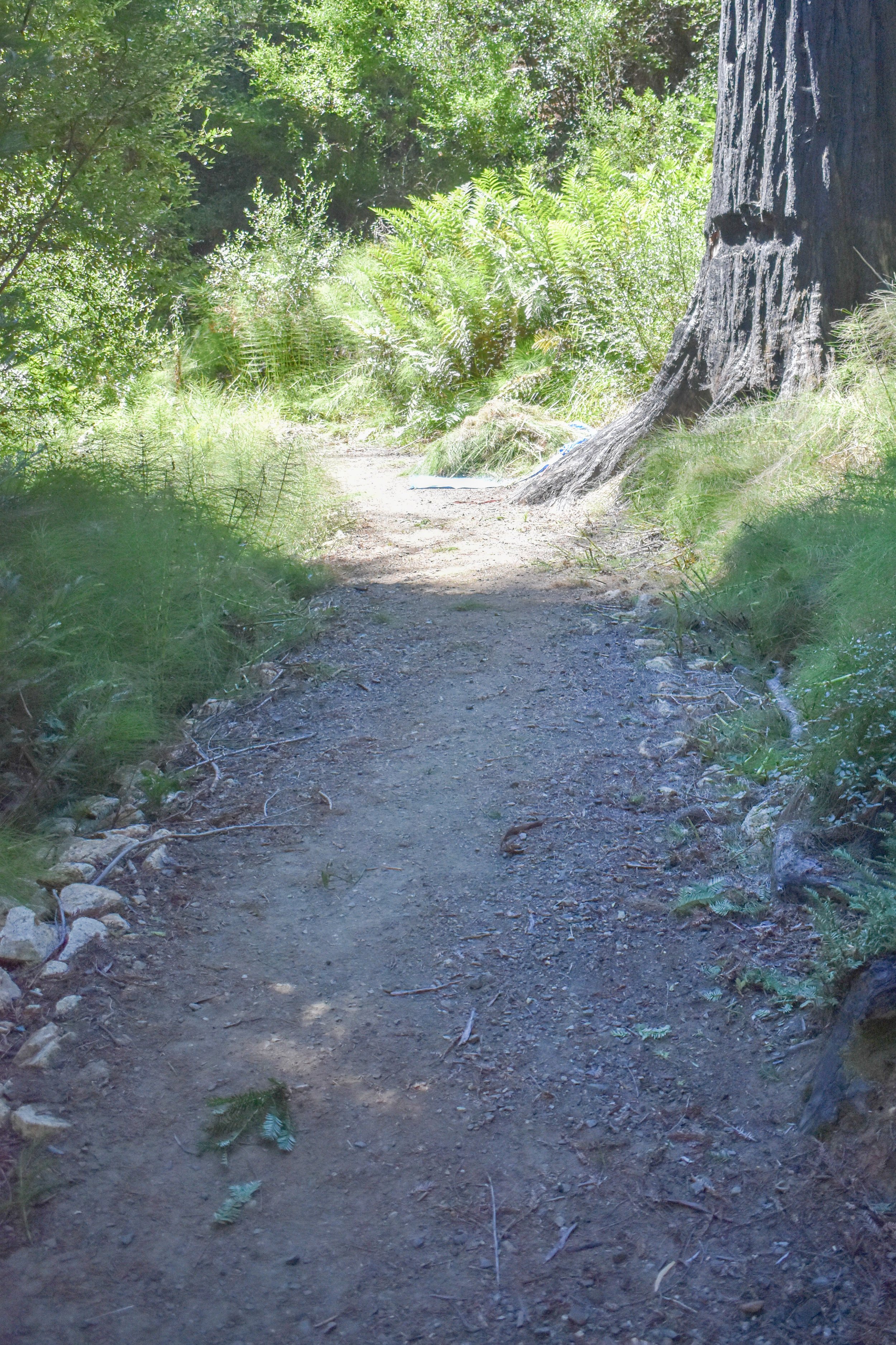 DSC_0075.jpg