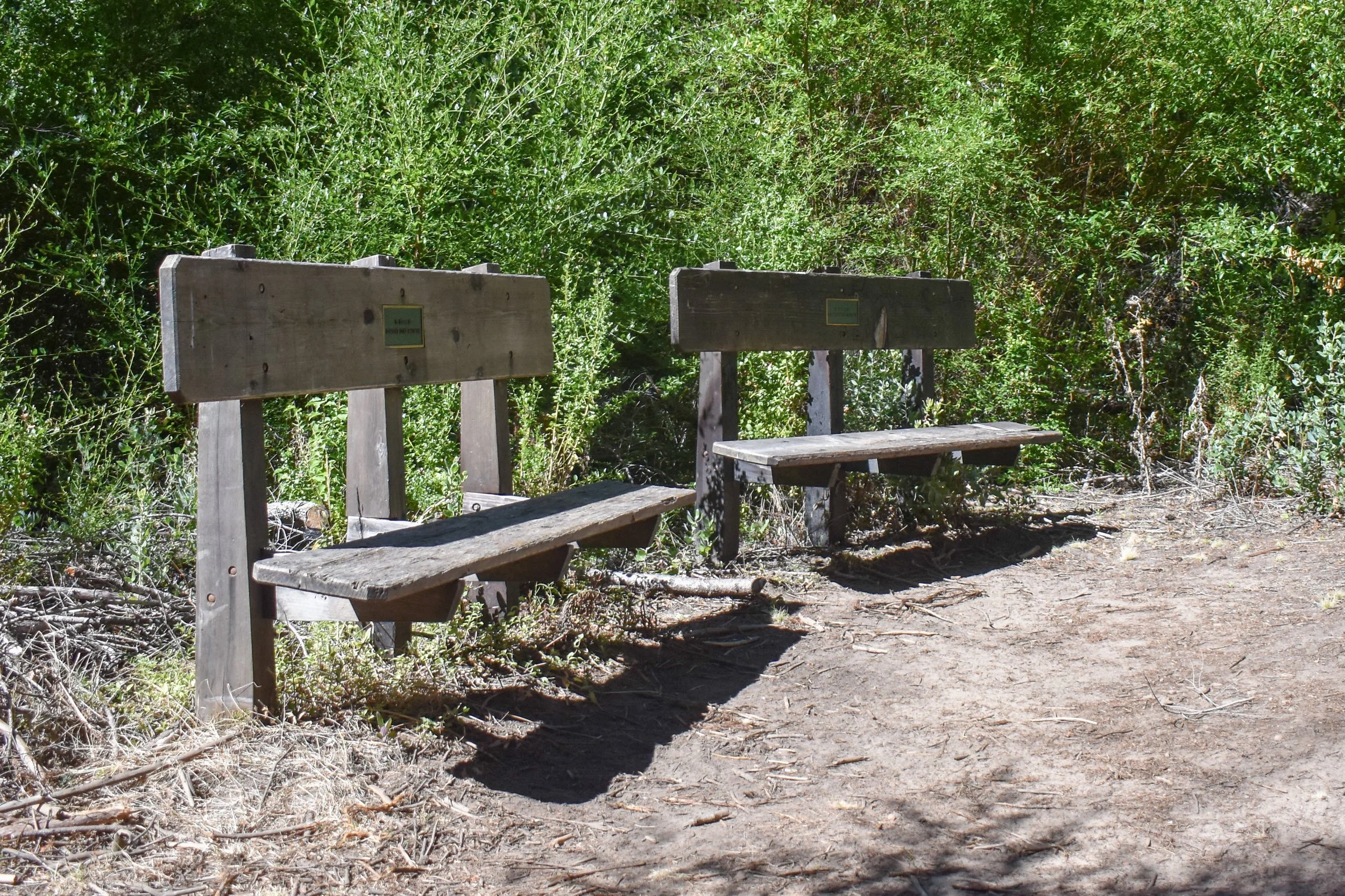 Fire Survivors-Maddock Cabin Benches.jpg