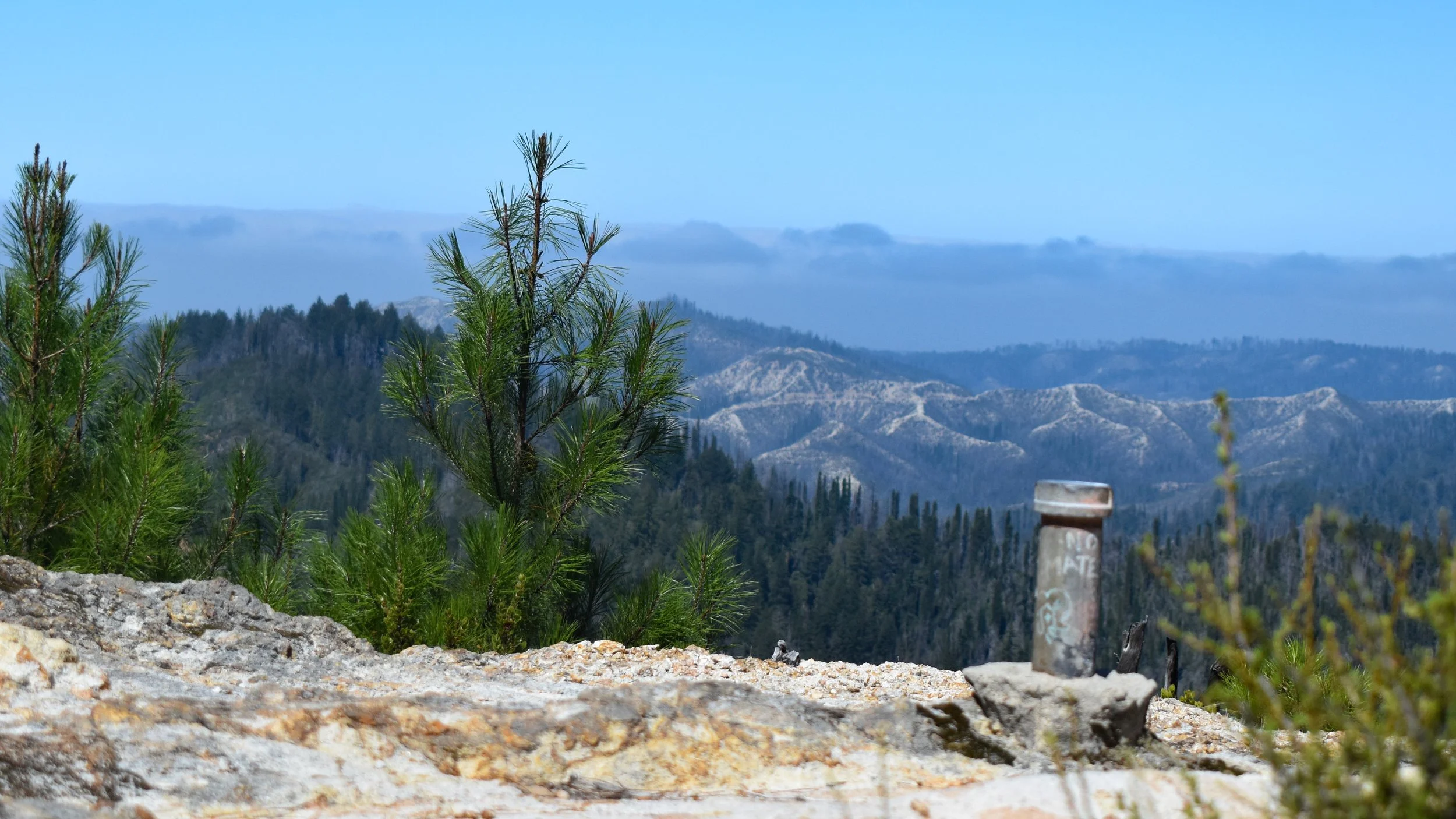 DSC_0106.jpg