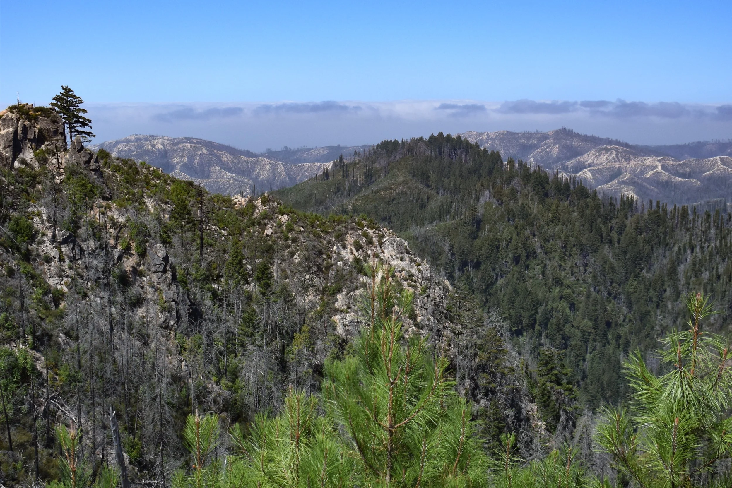 DSC_0111.jpg