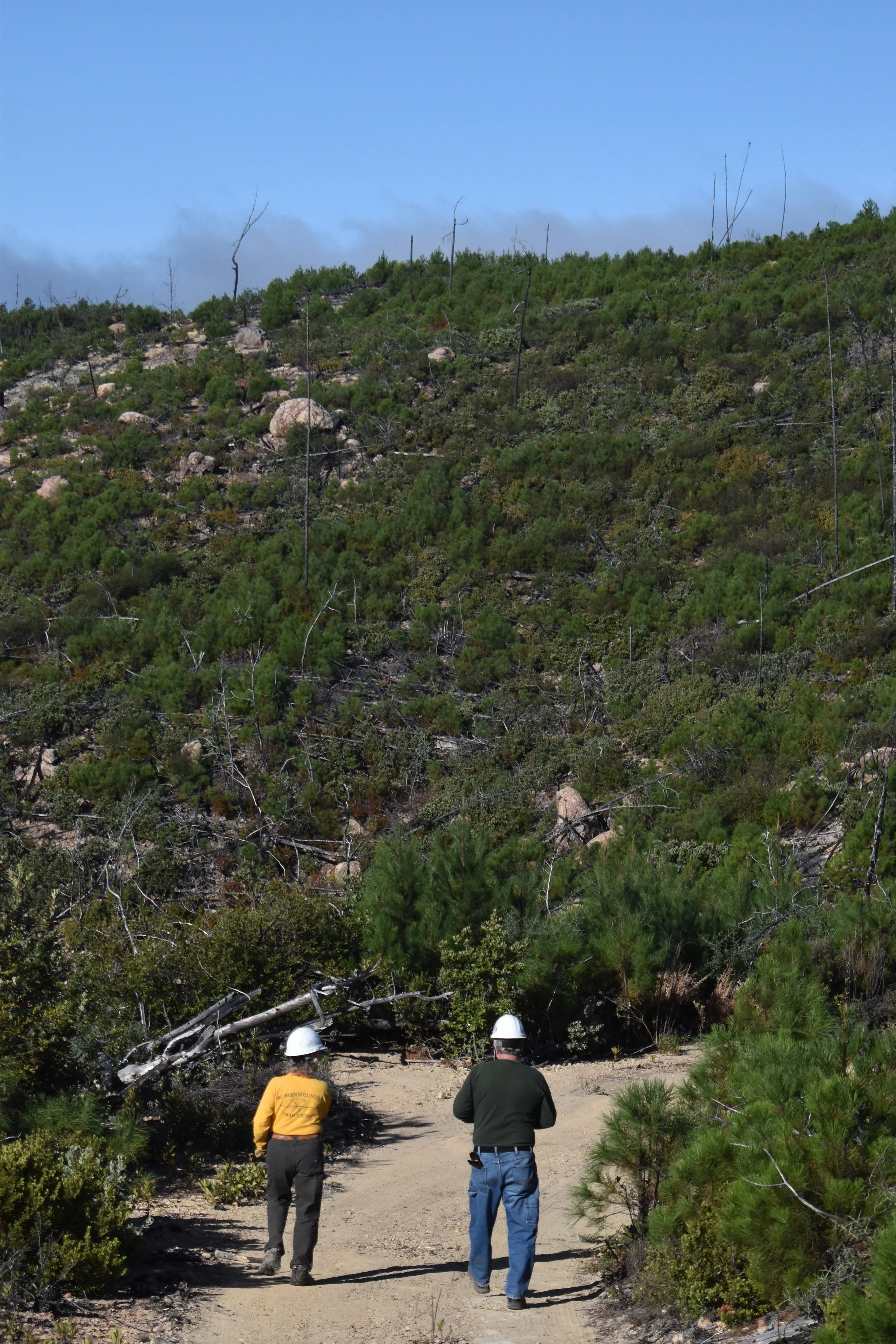 Emer. Access Tr. Up Ridge Straight Ahead.jpg