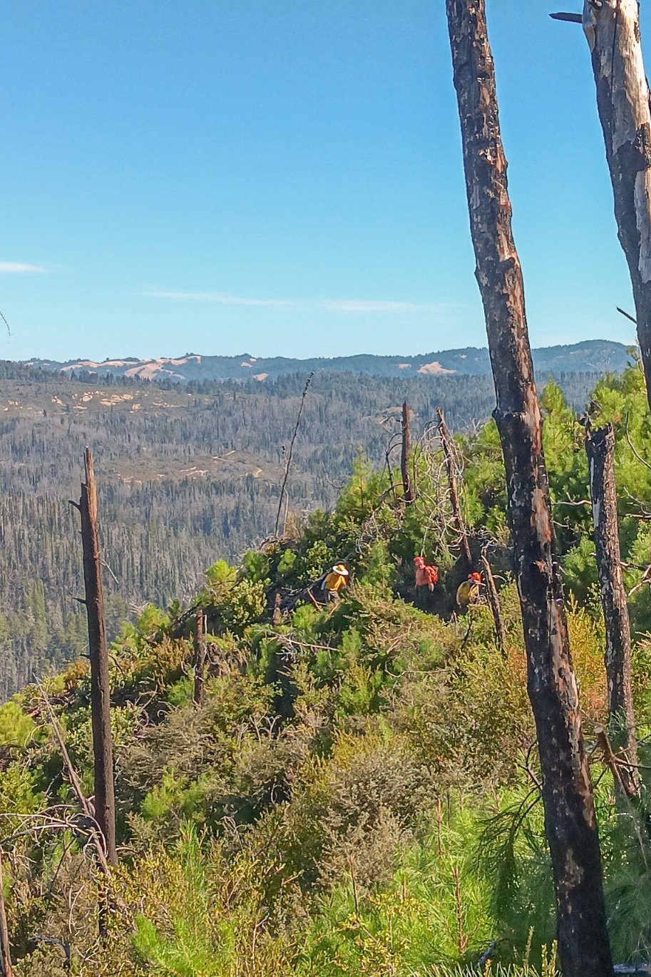 20260912_102843.jpg
