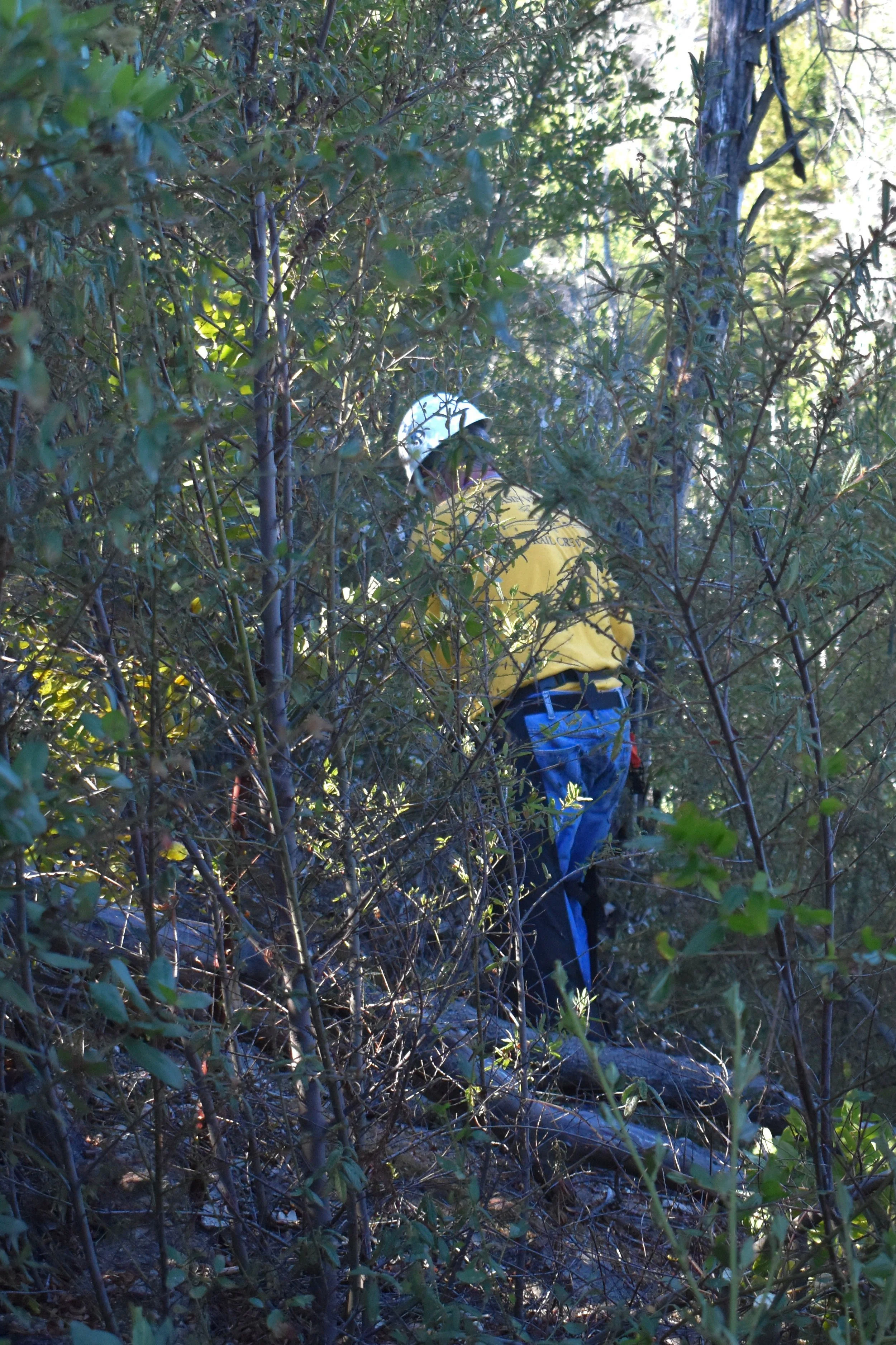 Looking For the Trail.jpg