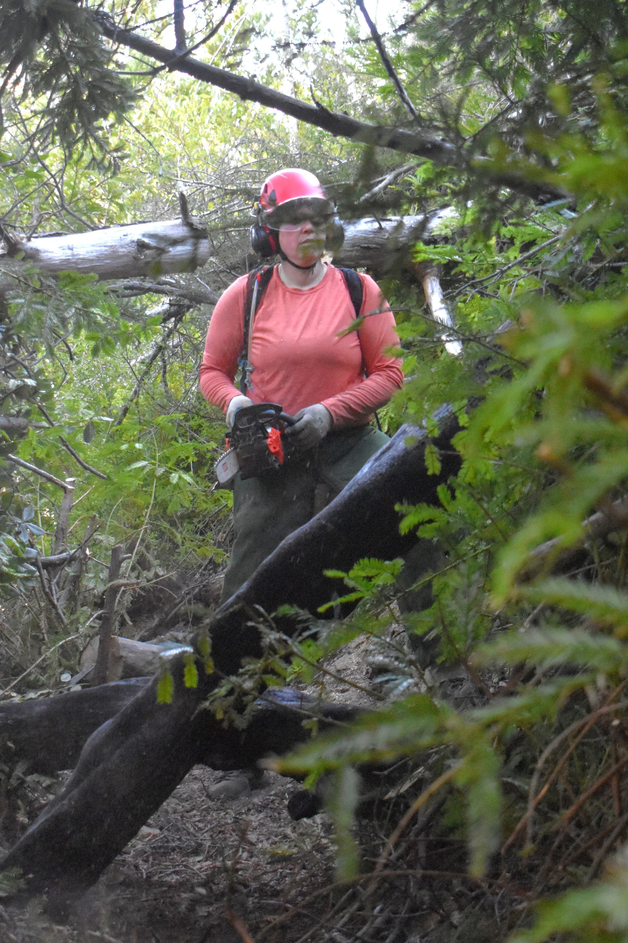 Clearing Trail Debris - Lower Crew.jpg