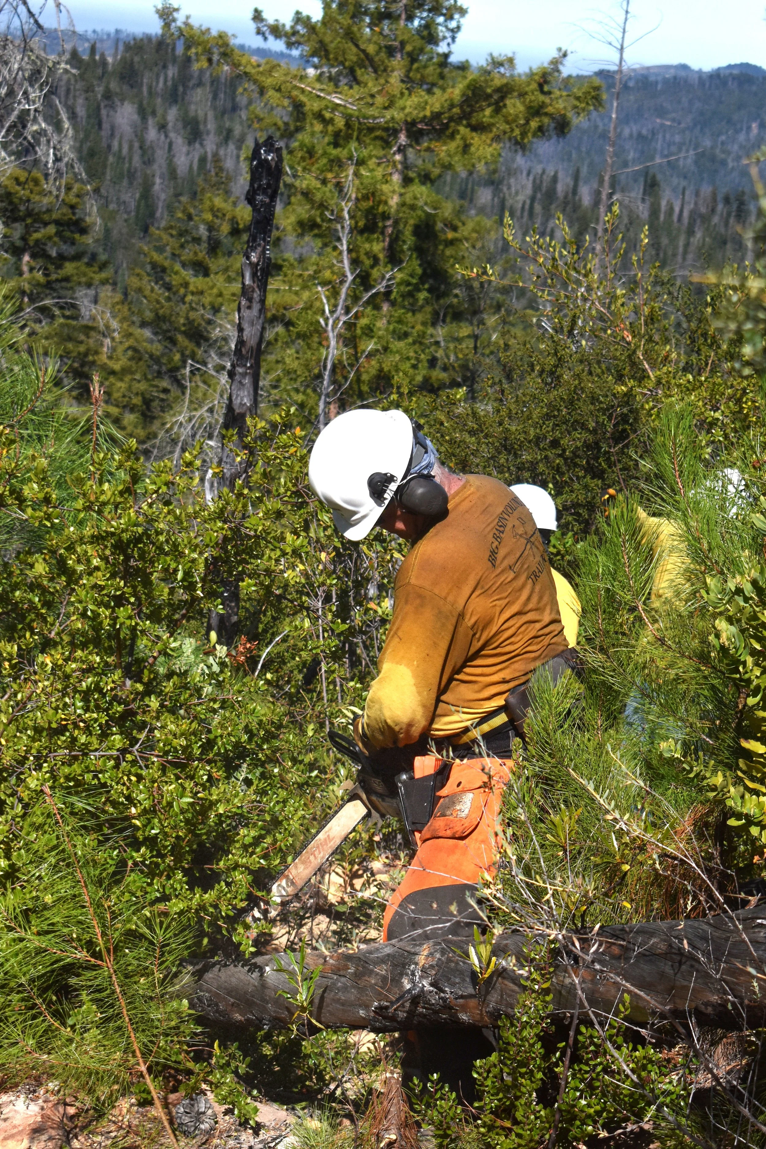 Hard Work Clearing Lower Tr.jpg