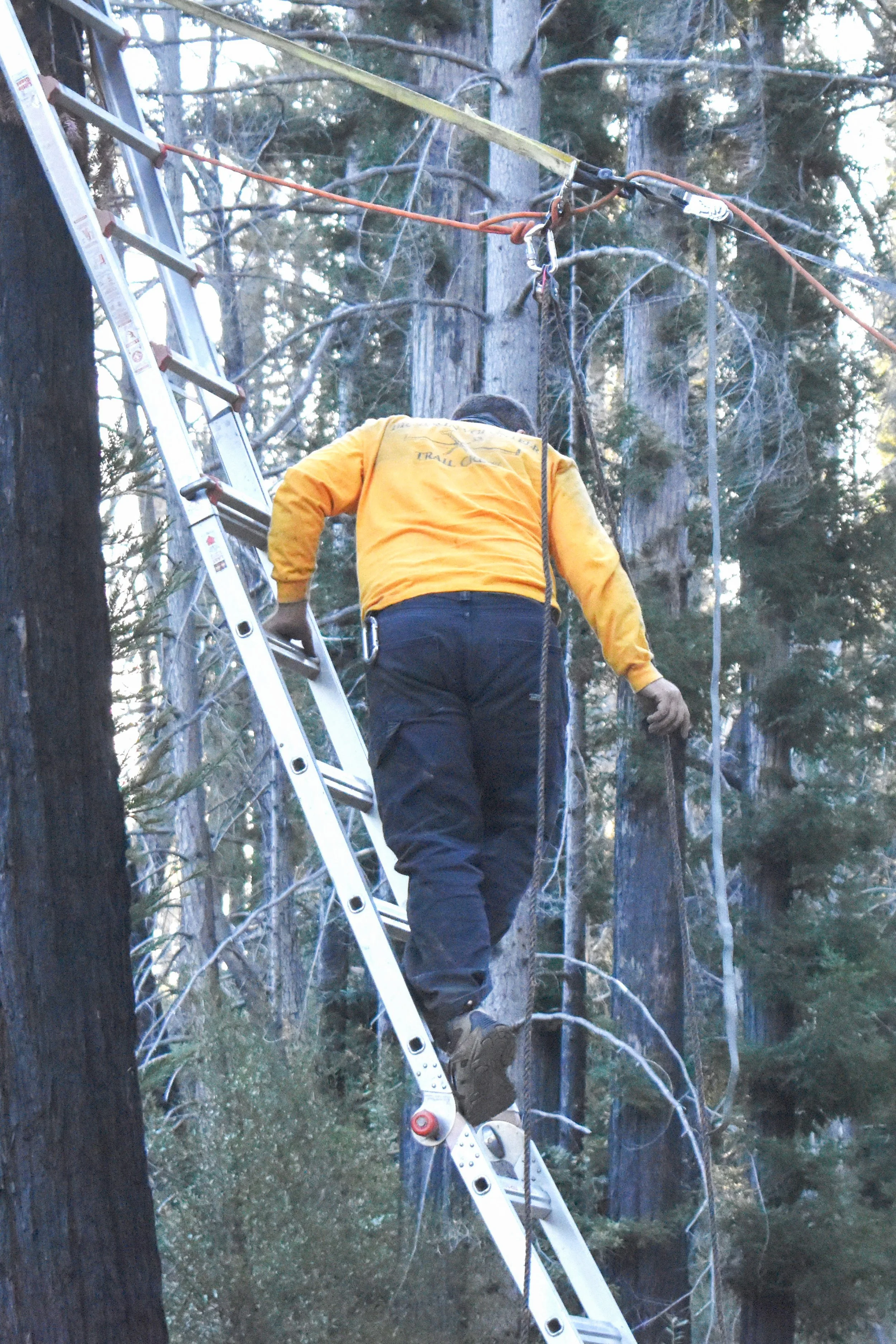 Setting Up Rigging.jpg