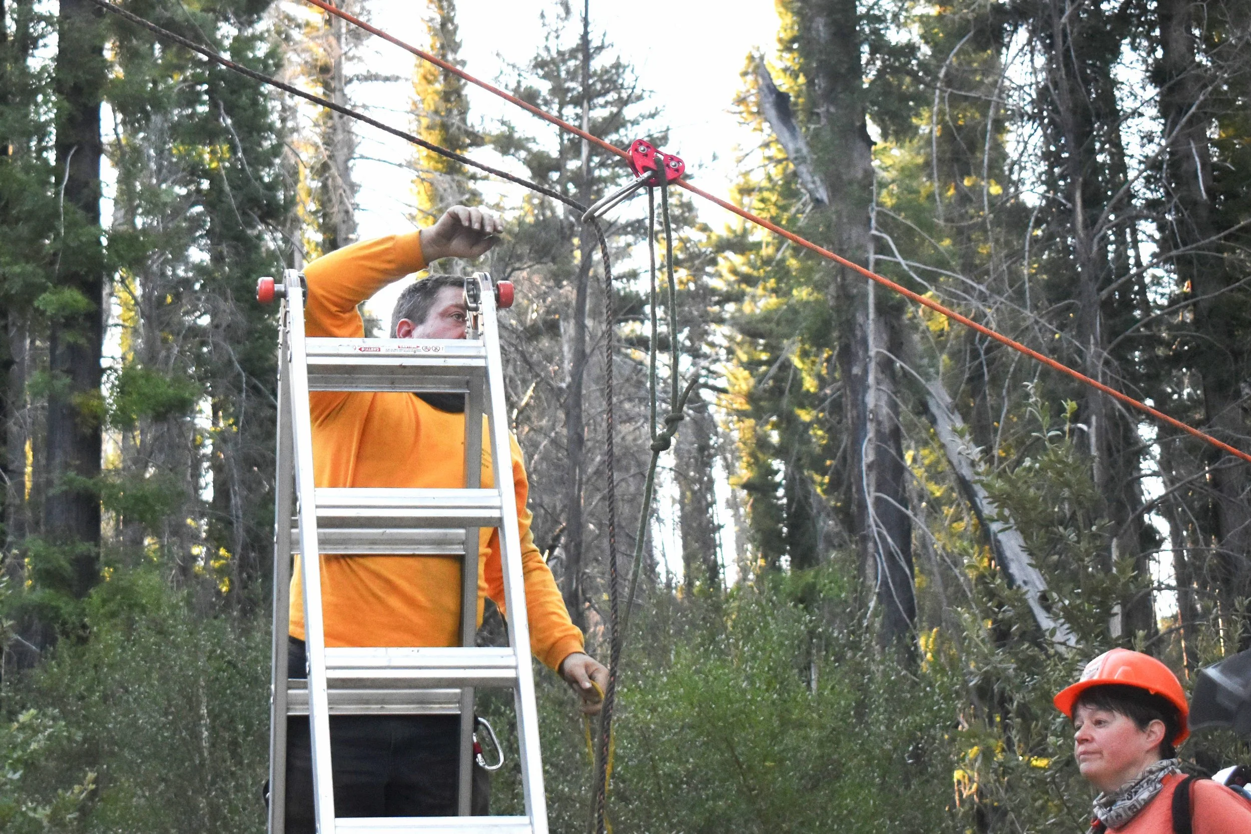 Setting up Rigging - 1.jpg