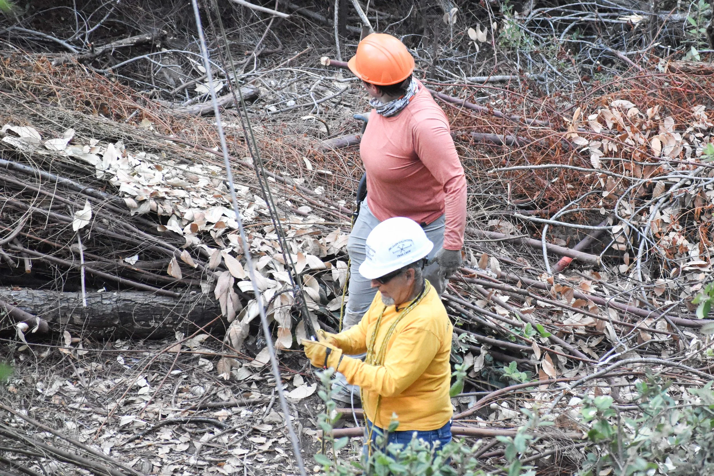 Attaching Debris to Highline at Trail End.jpg