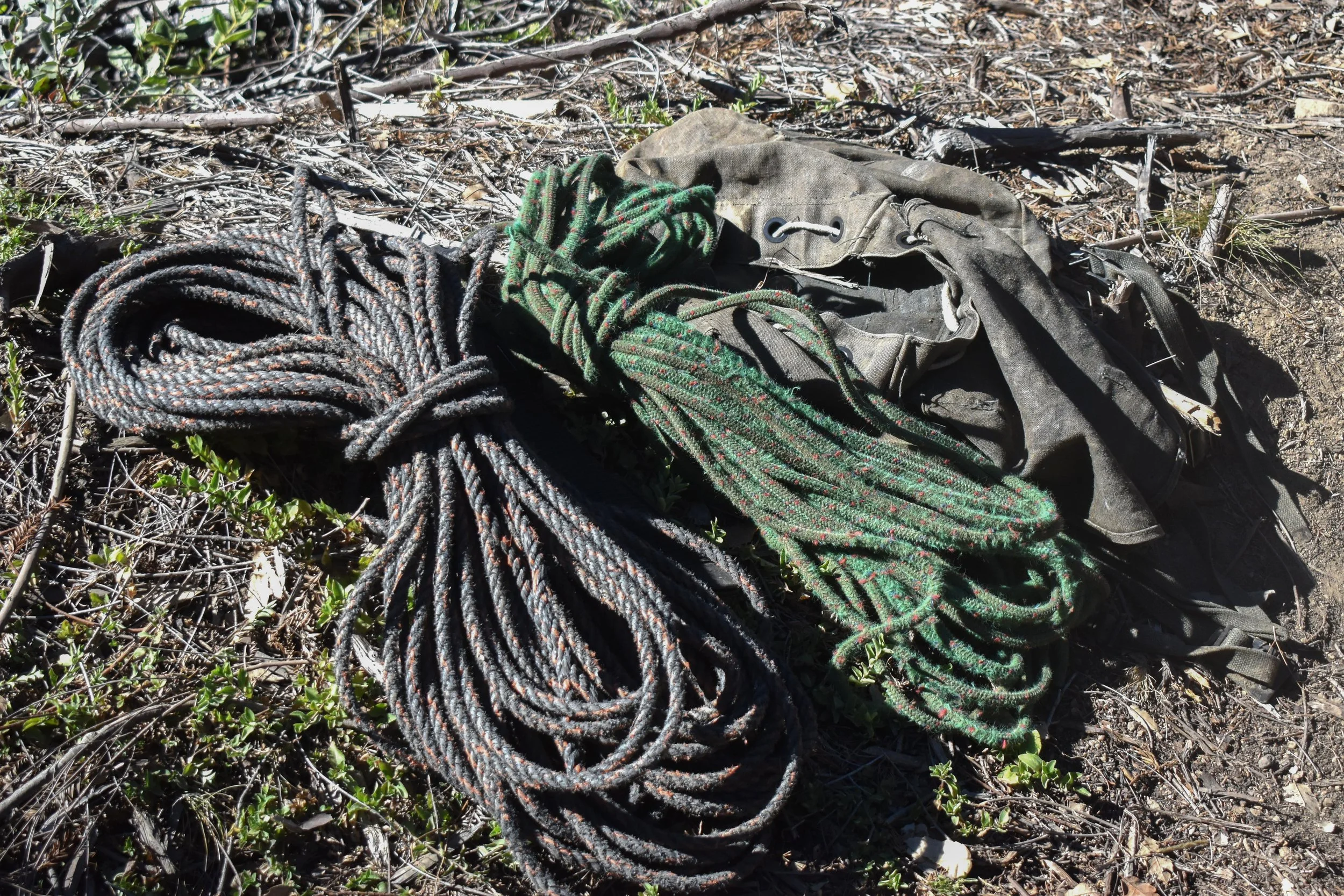 Highline Rigging.jpg