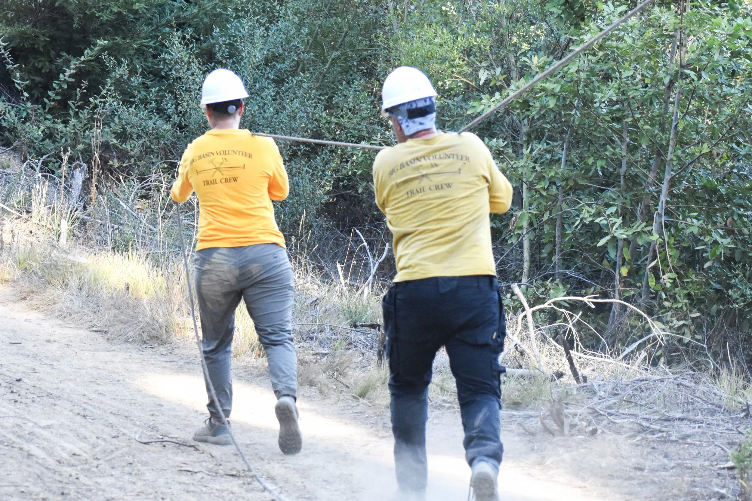 Manpower Used to Lift Highline Debris From Trail to Road.jpg