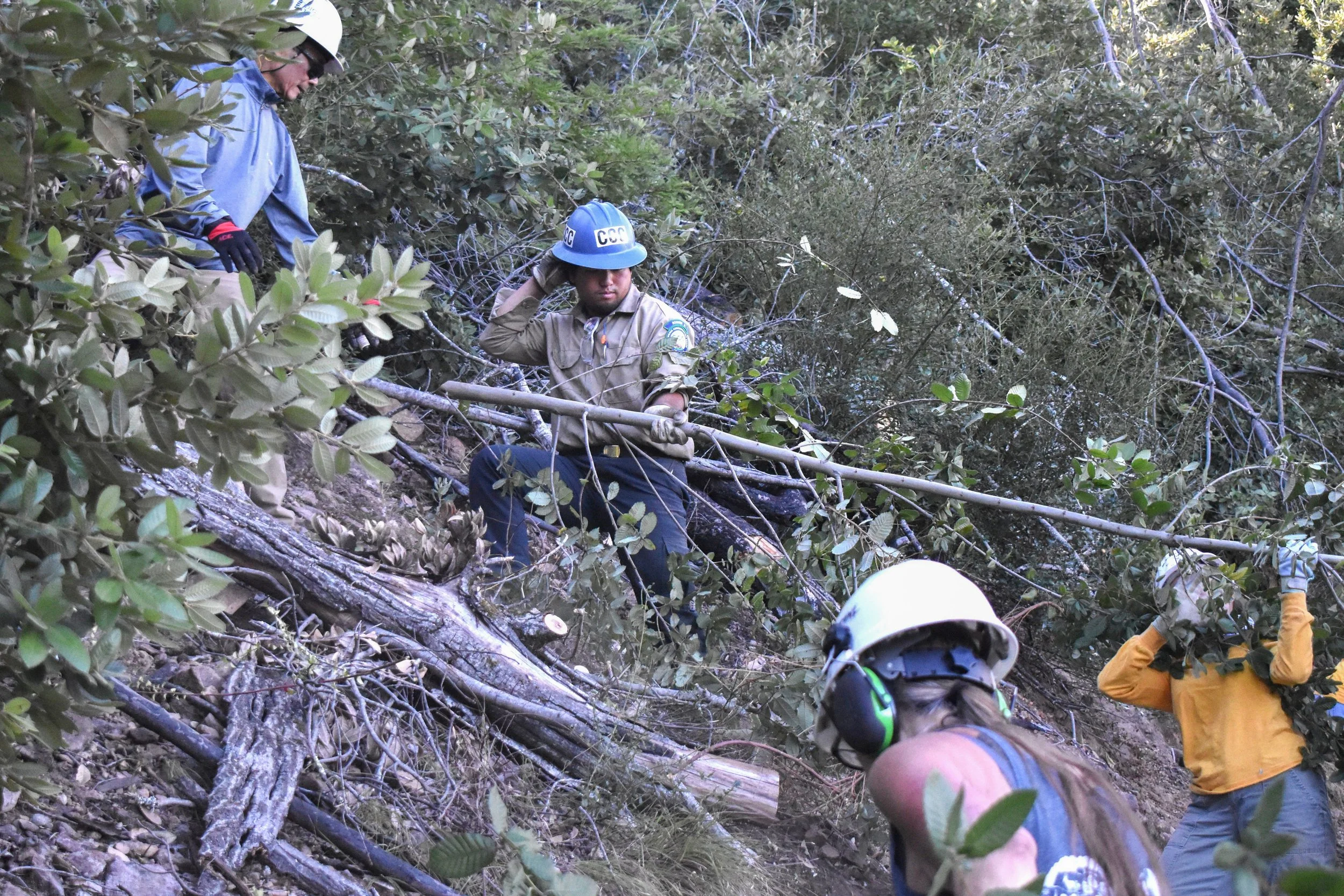 Moving Debris Up to Hiding Spot.jpg