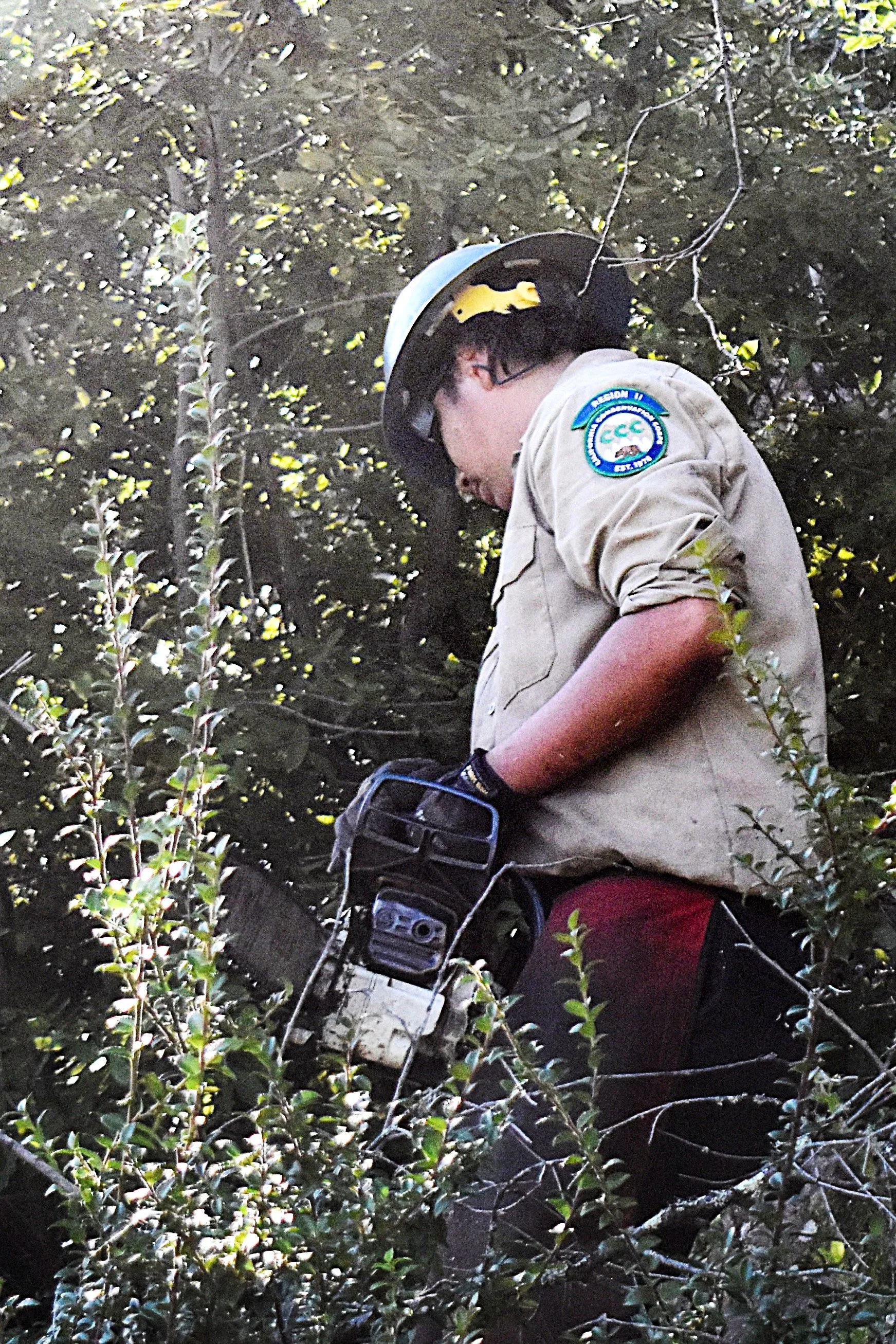 CCC Clearing Debris Off Trail Hiding Spot.jpg
