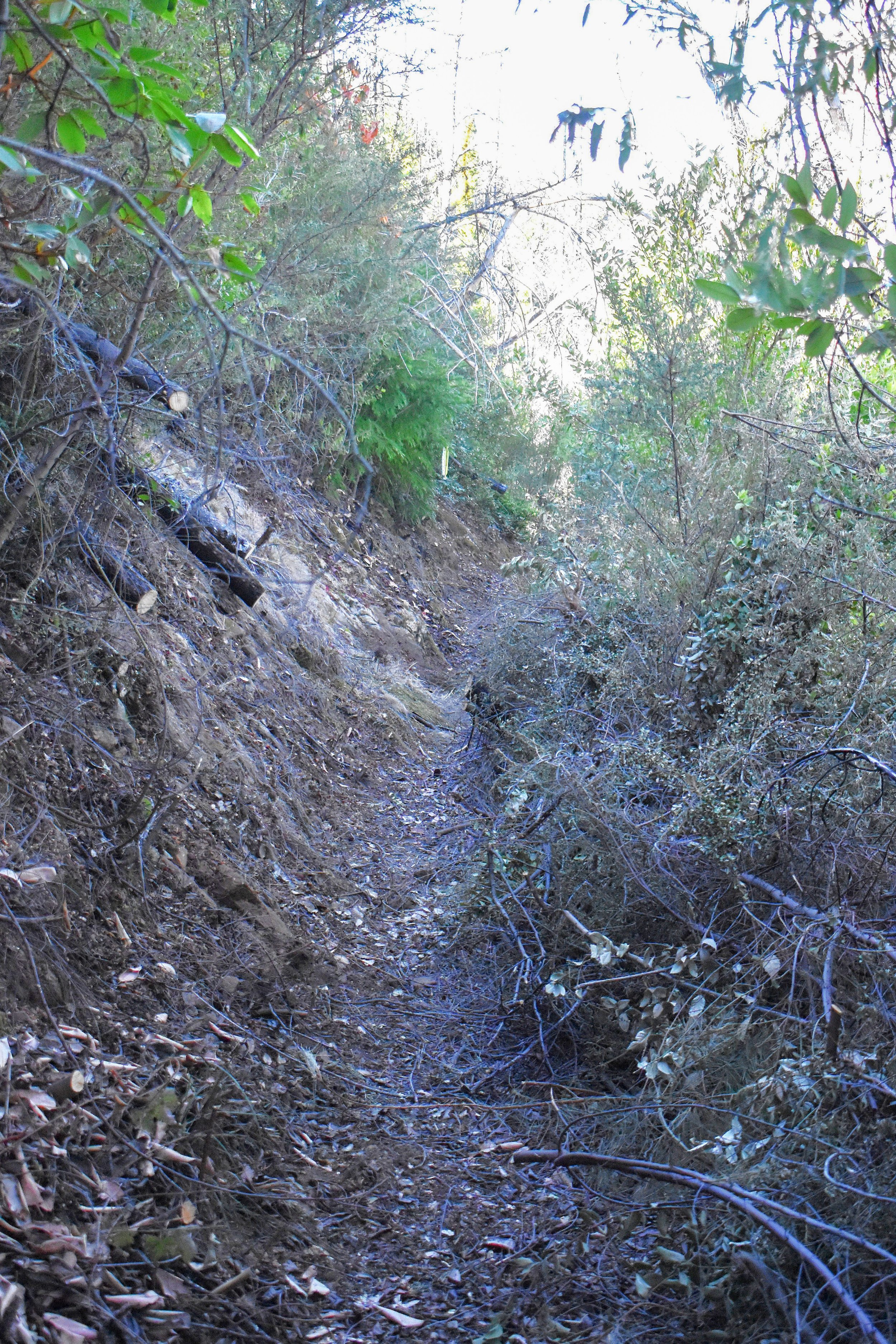 Debris Waiting For Removal From Trail Edge.jpg